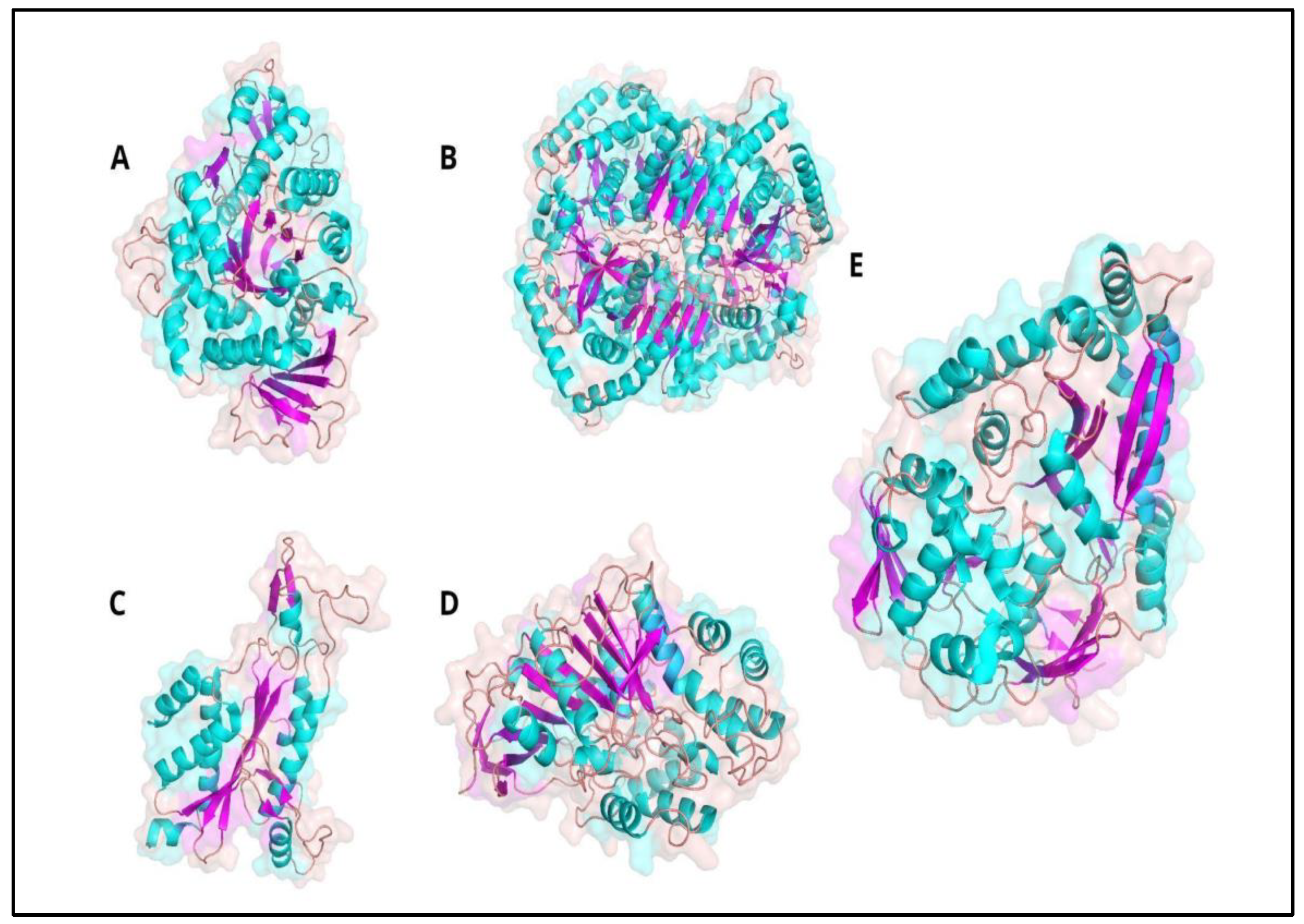Ijms 24 04023 g001 Ijms 24 04023 g001