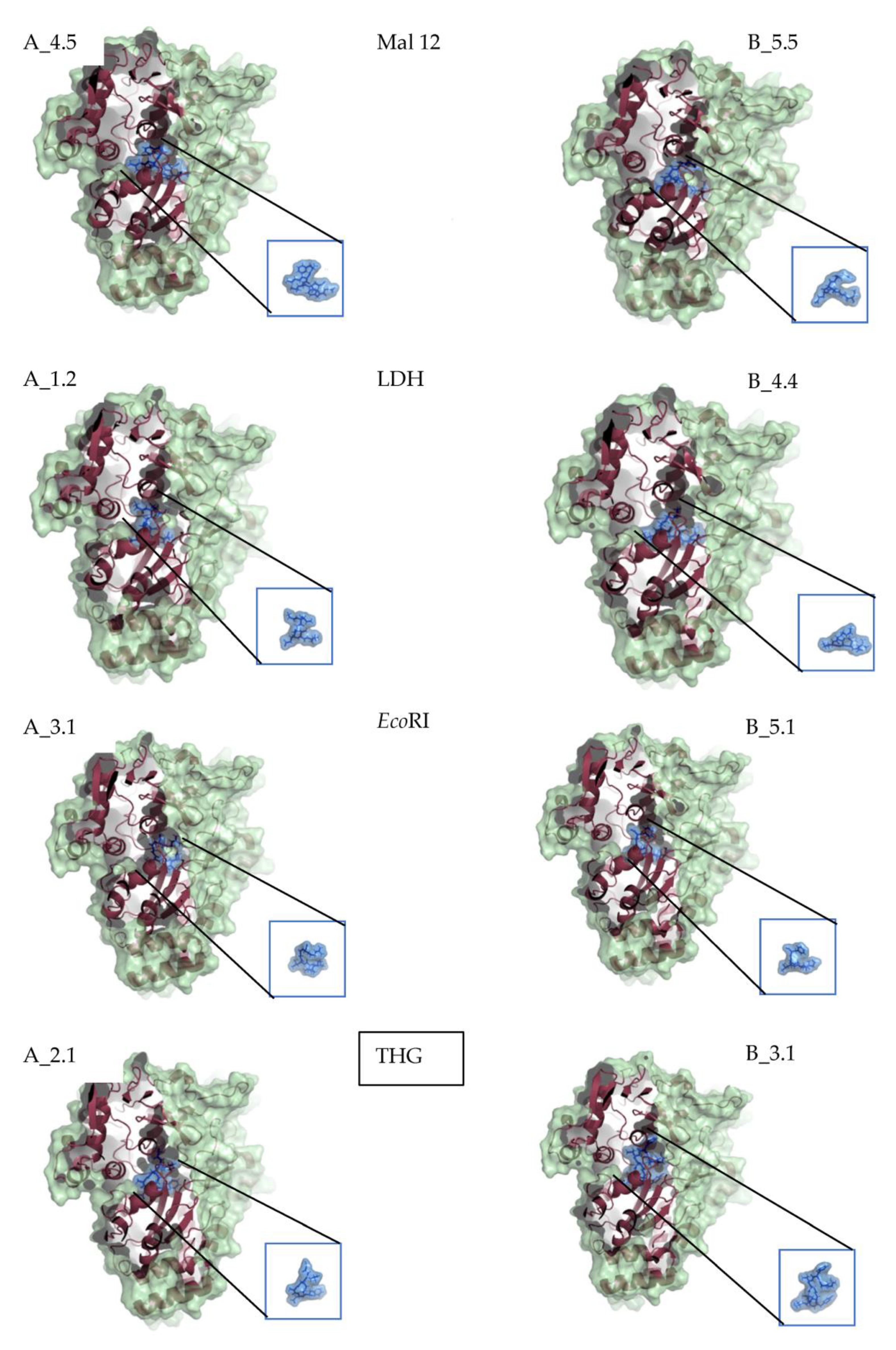 Ijms 24 04023 g003 Ijms 24 04023 g003