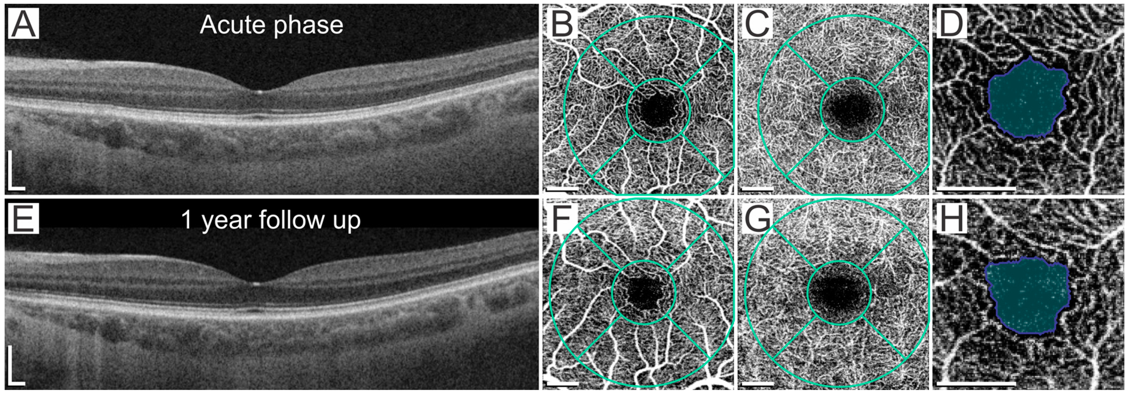 Ijms 24 04032 g003 Ijms 24 04032 g003