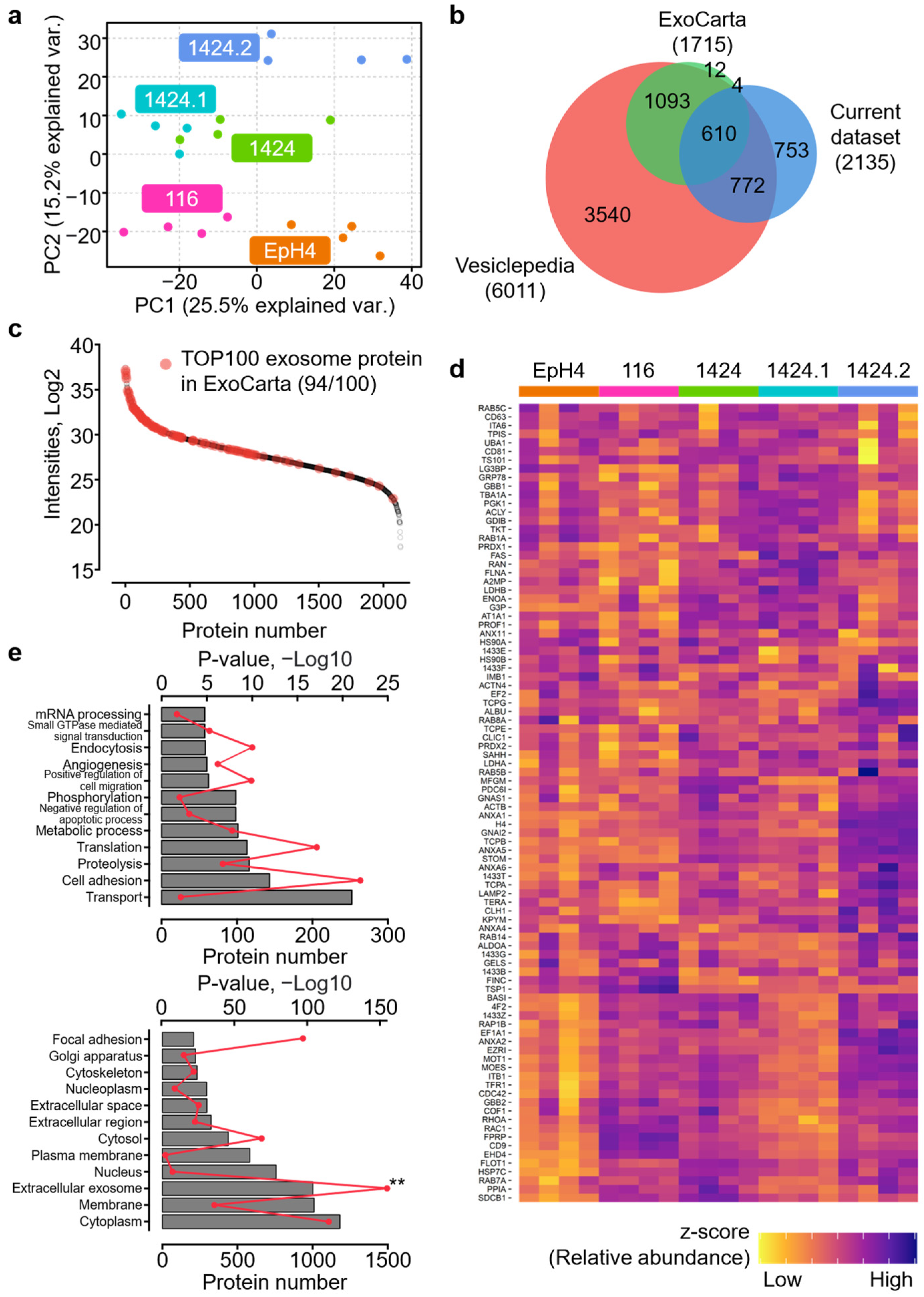 Ijms 24 04033 g002 Ijms 24 04033 g002