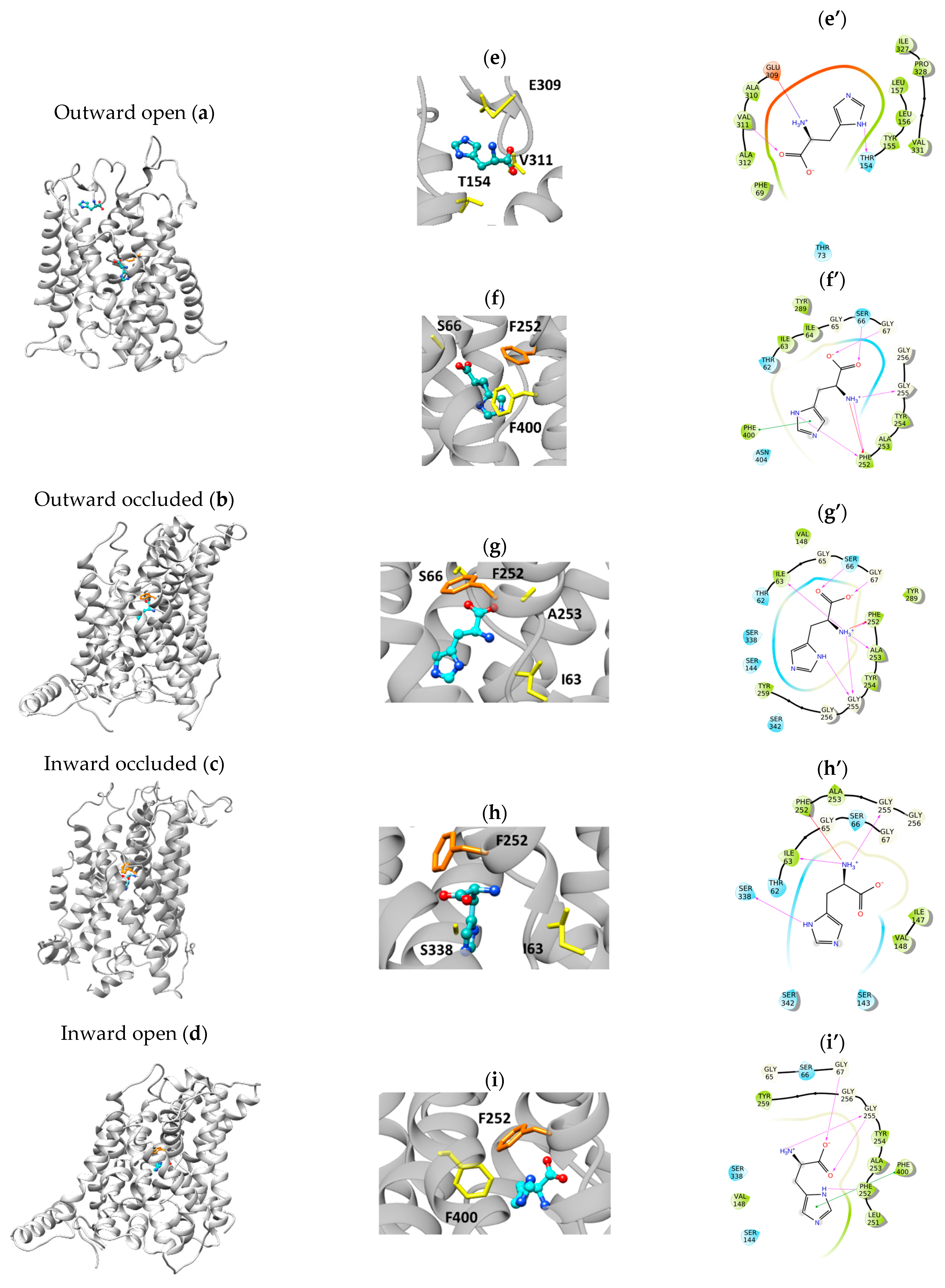 Ijms 24 04042 g005 Ijms 24 04042 g005