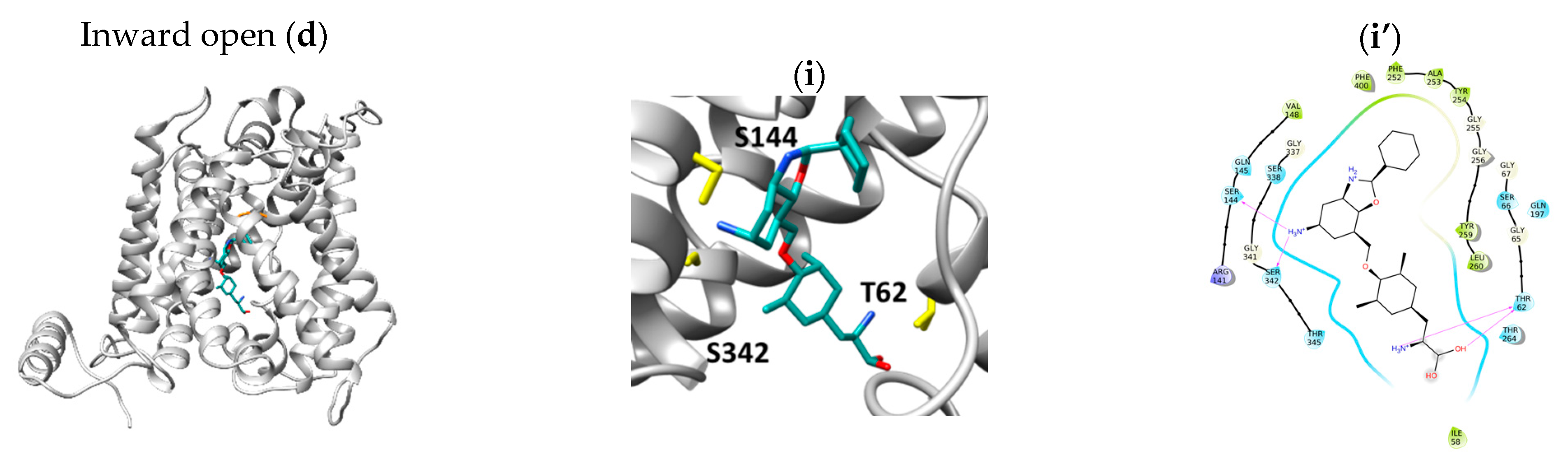 Ijms 24 04042 g006b Ijms 24 04042 g006b