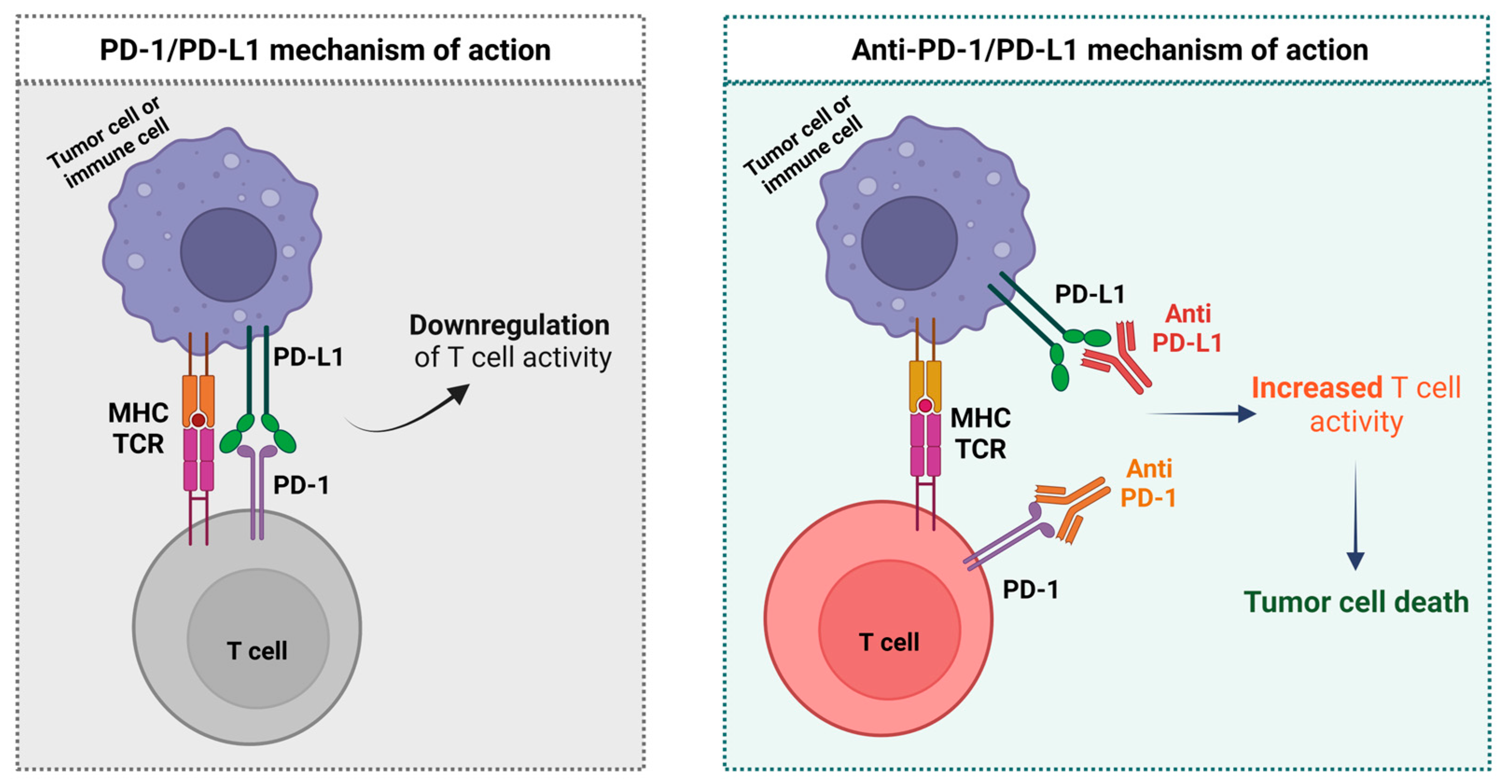 Ijms 24 04044 g002 Ijms 24 04044 g002