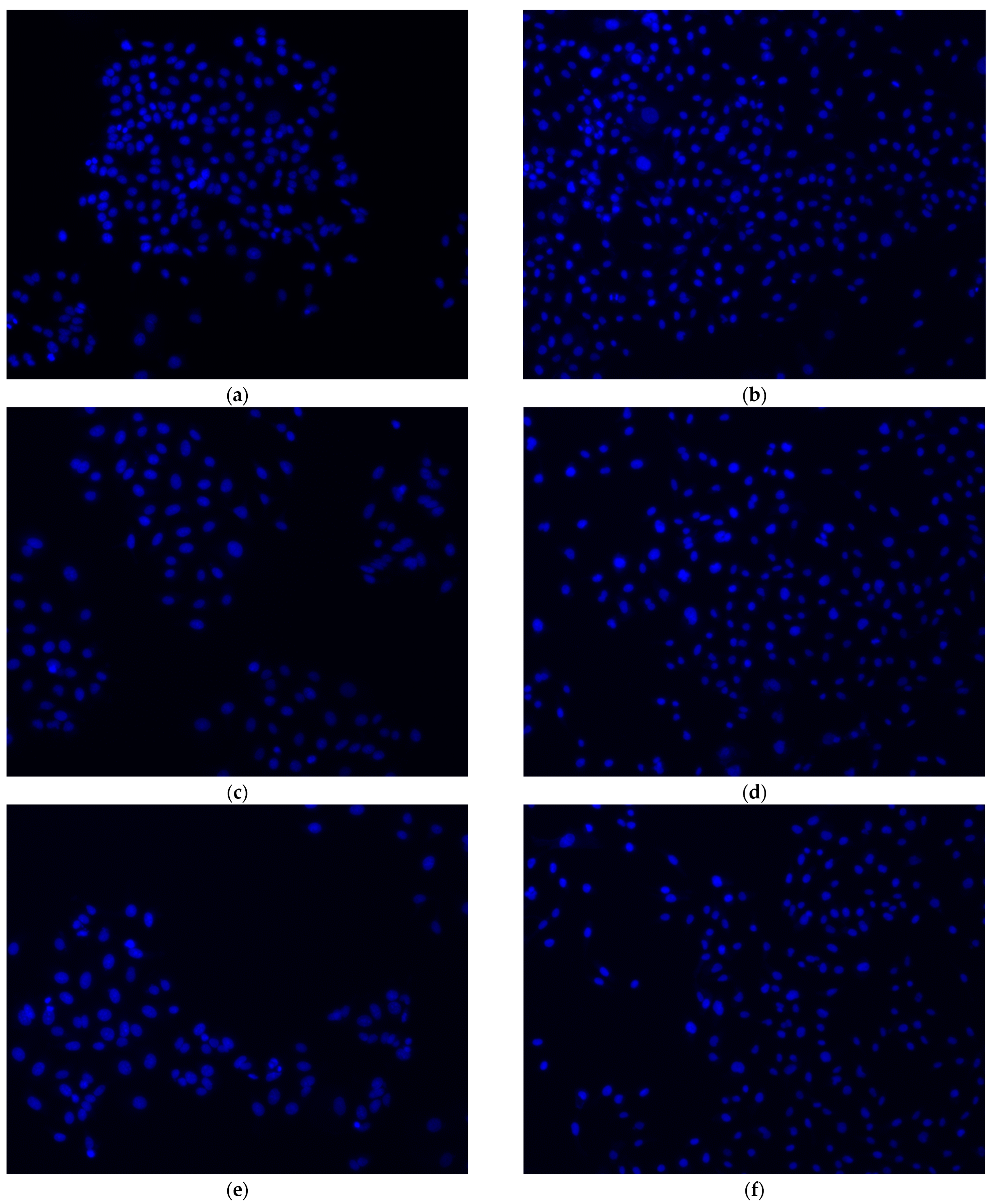 Ijms 24 04046 g003 Ijms 24 04046 g003