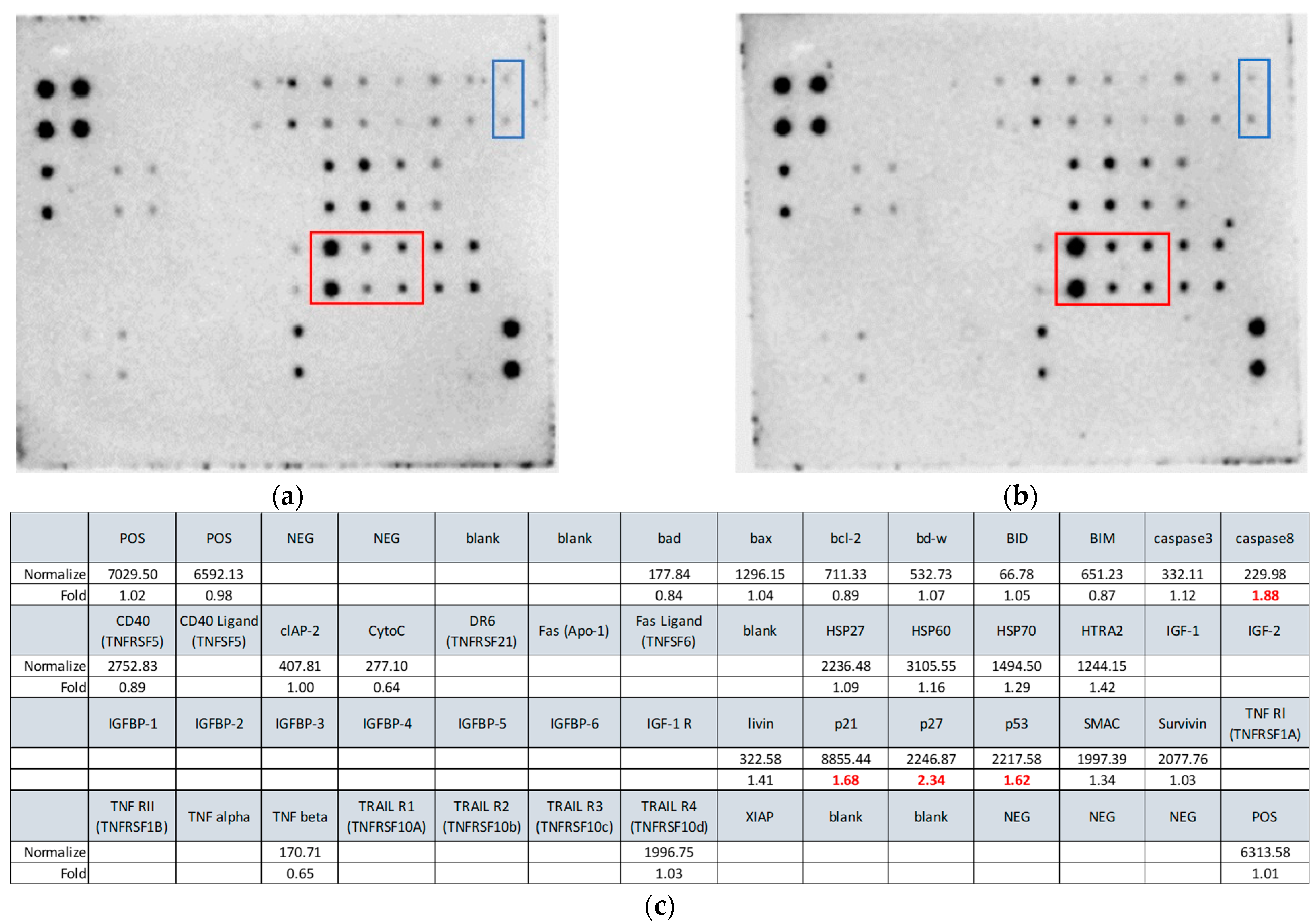 Ijms 24 04046 g005 Ijms 24 04046 g005