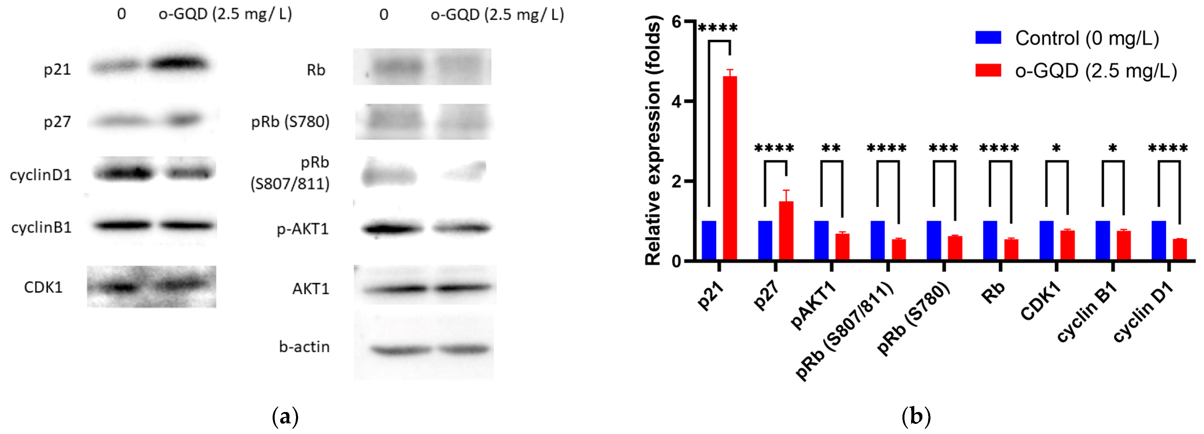 Ijms 24 04046 g007 Ijms 24 04046 g007