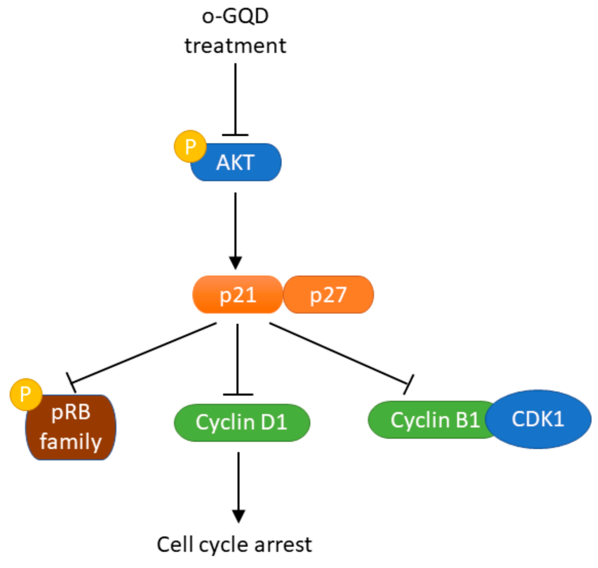 Ijms 24 04046 g008 Ijms 24 04046 g008