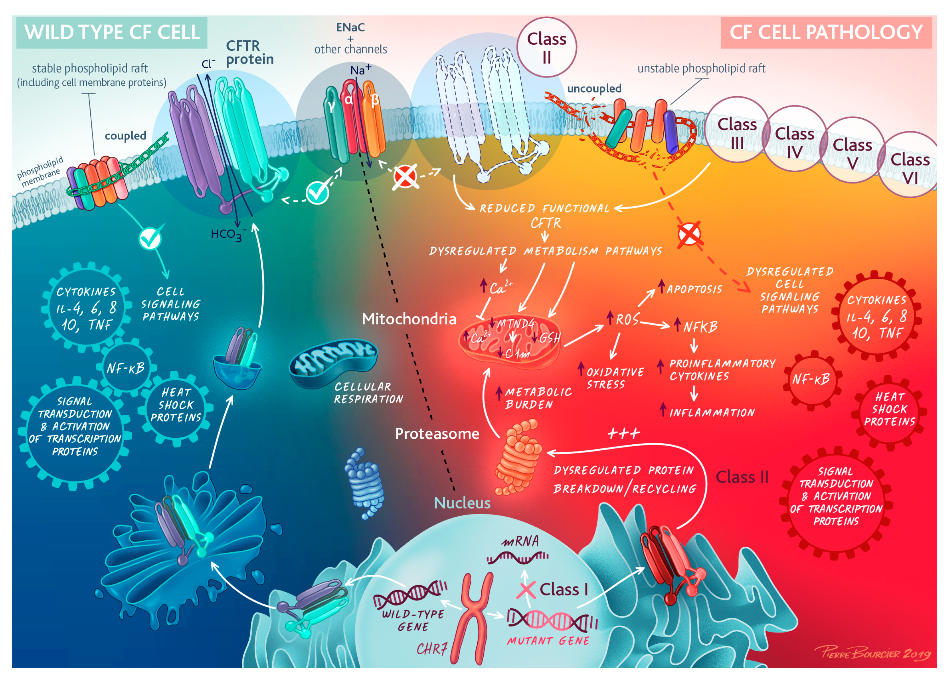 Ijms 24 04052 g002 Ijms 24 04052 g002