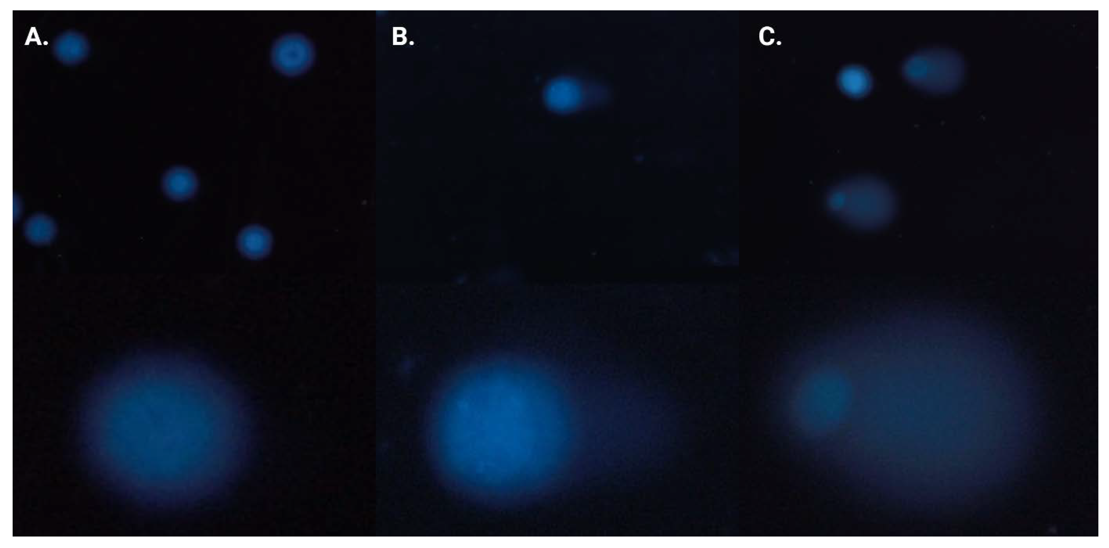 Ijms 24 04053 g007 Ijms 24 04053 g007