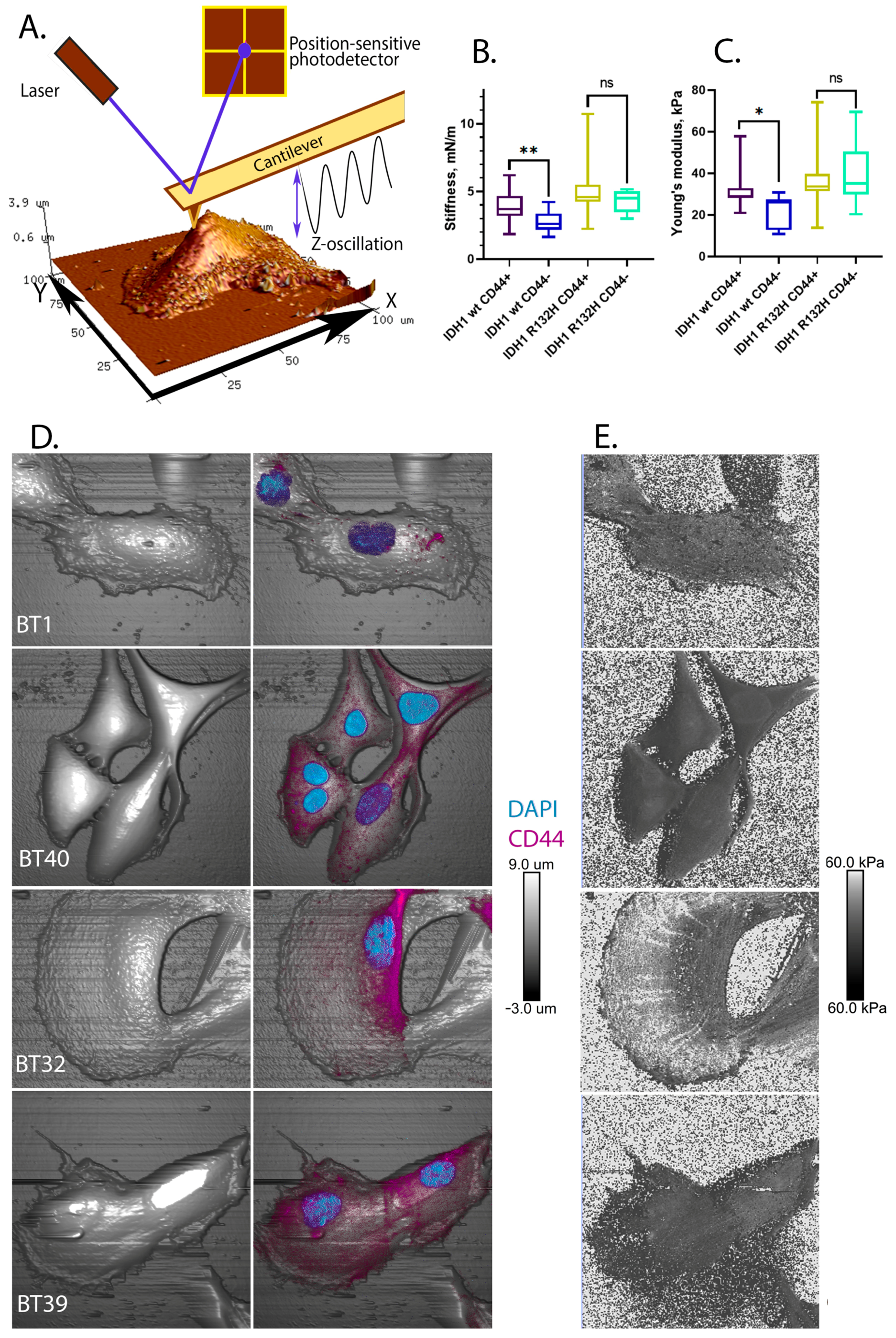 Ijms 24 04056 g004 Ijms 24 04056 g004