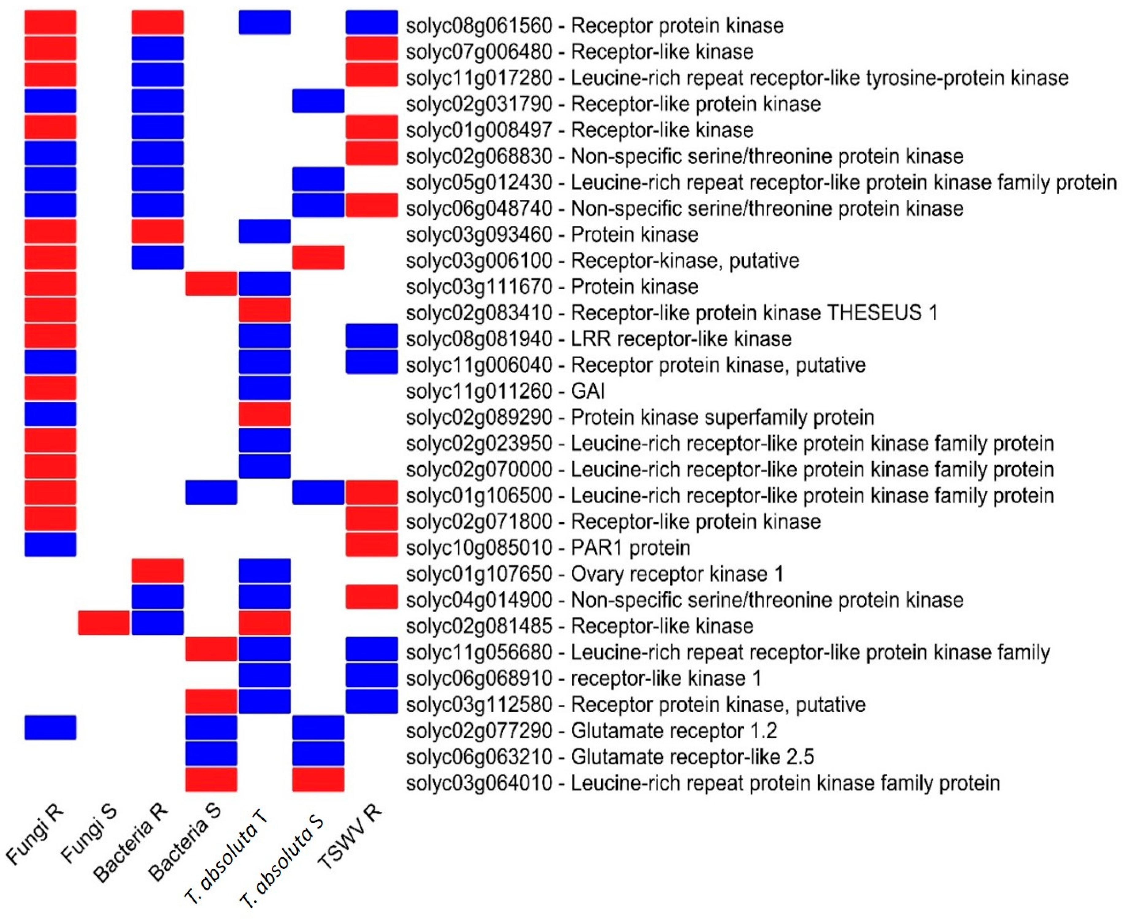 Ijms 24 04061 g005 Ijms 24 04061 g005
