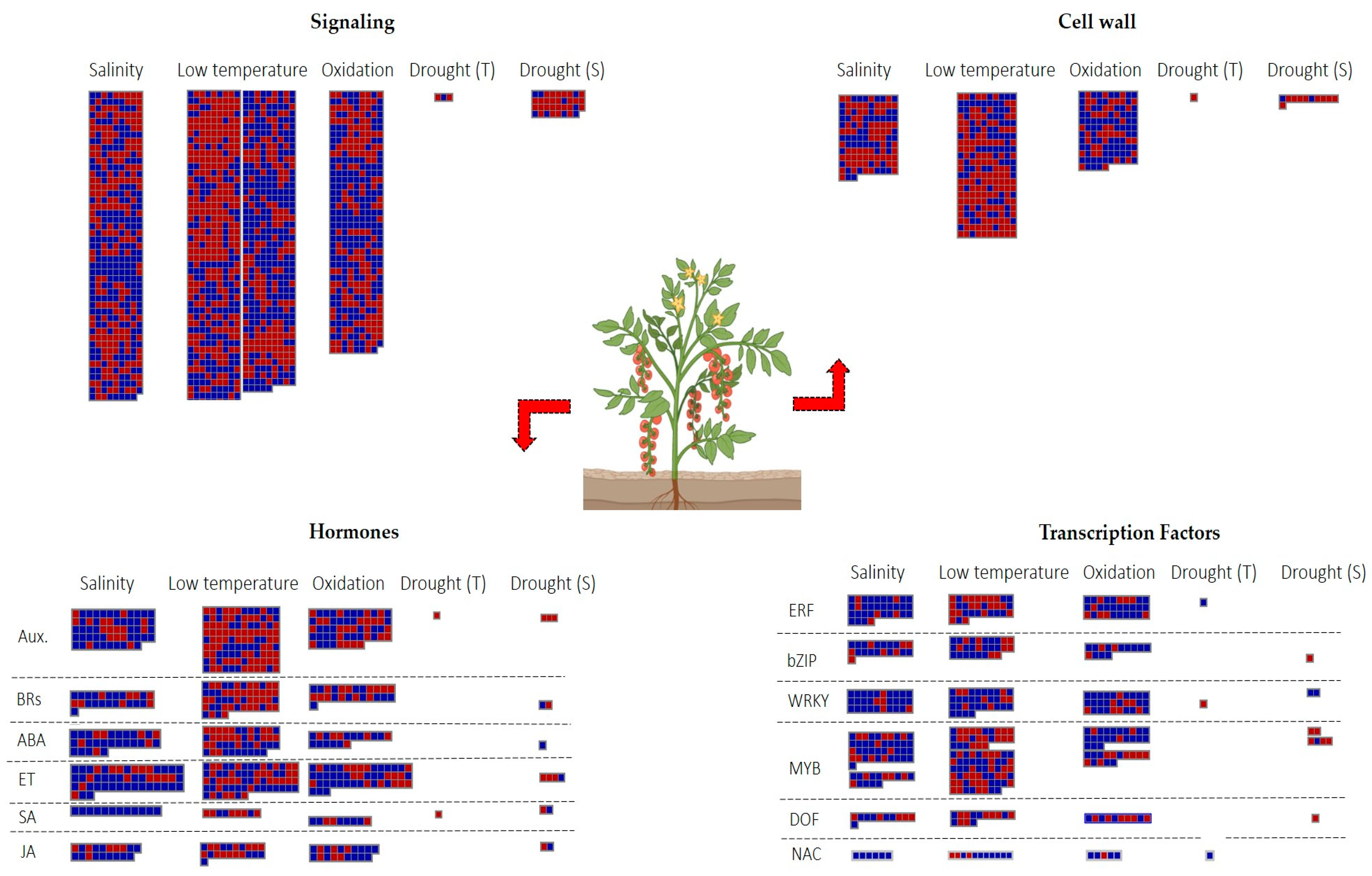 Ijms 24 04061 g007 Ijms 24 04061 g007
