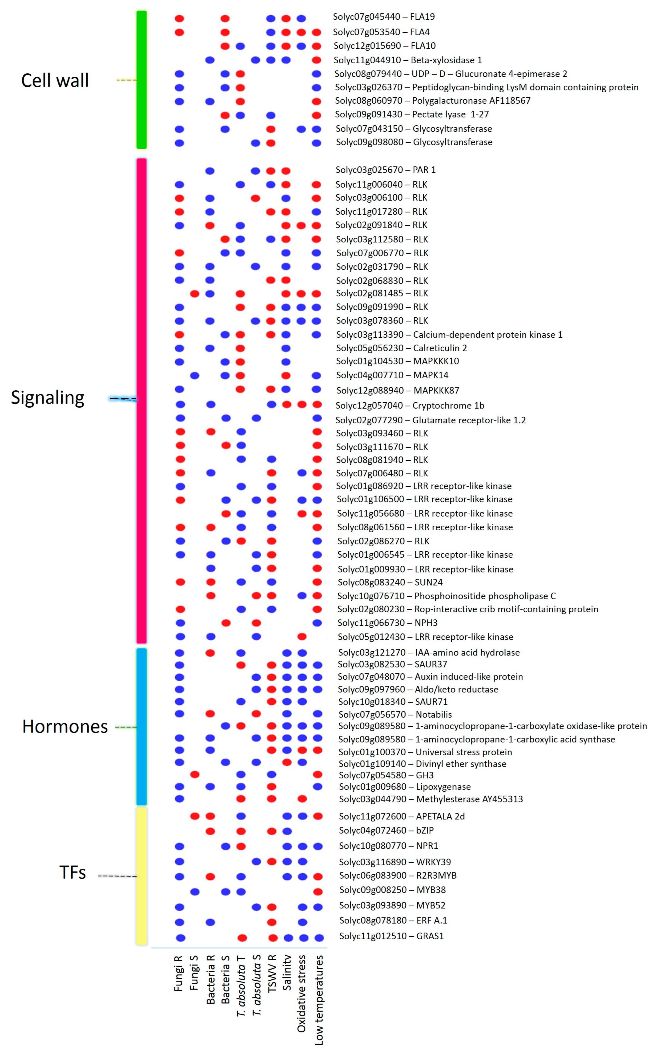 Ijms 24 04061 g009 Ijms 24 04061 g009