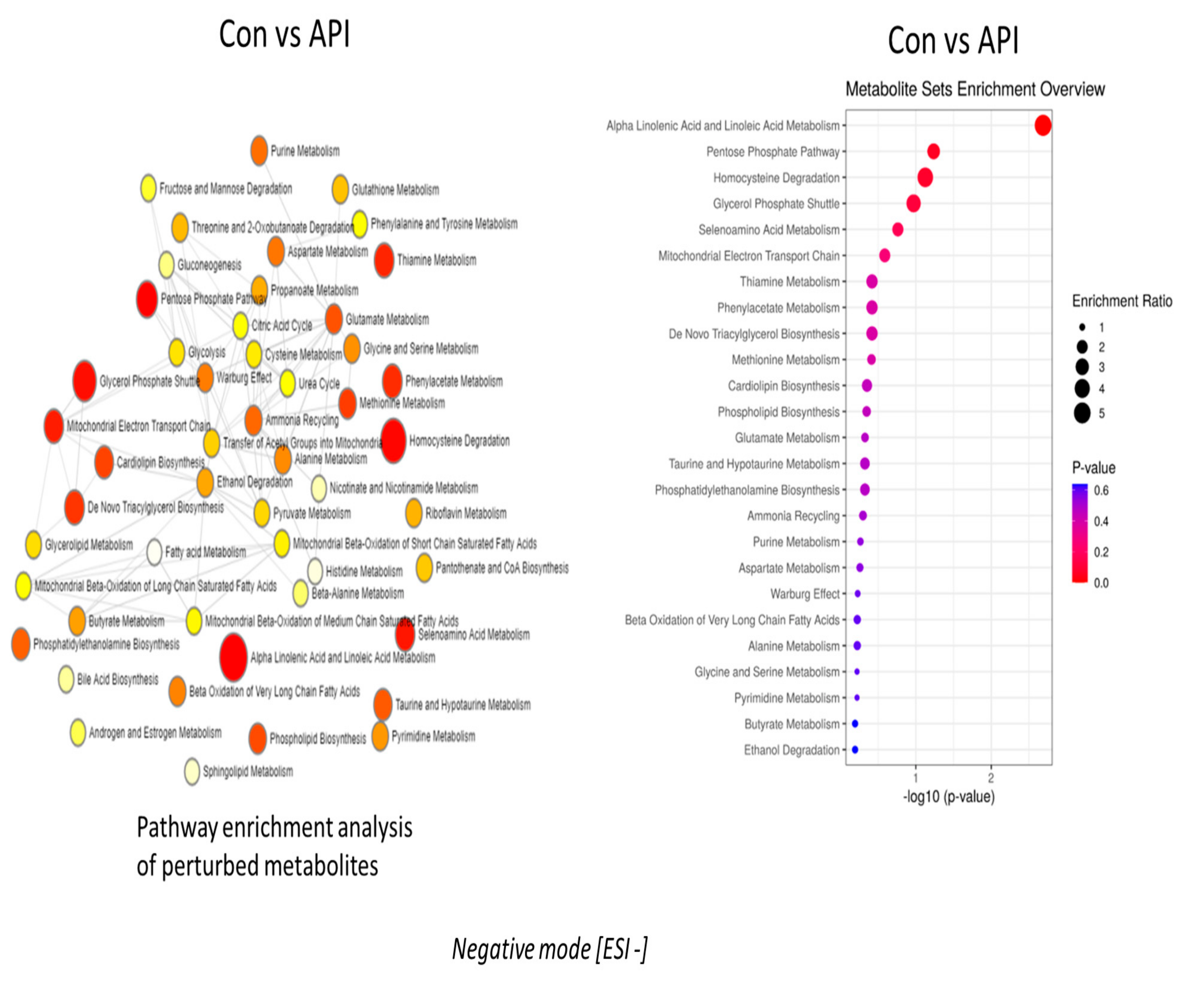 Ijms 24 04066 g002 Ijms 24 04066 g002