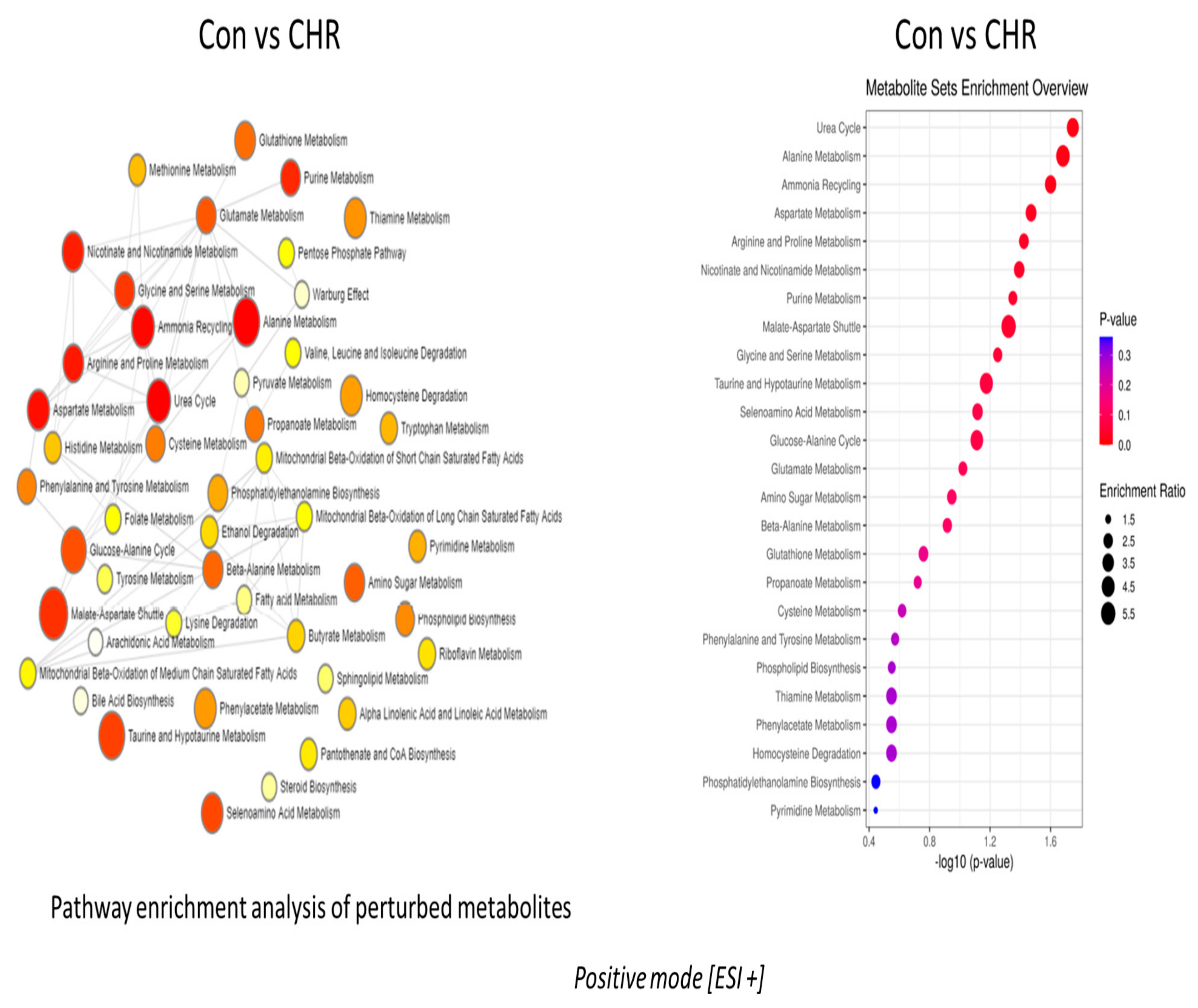 Ijms 24 04066 g007 Ijms 24 04066 g007