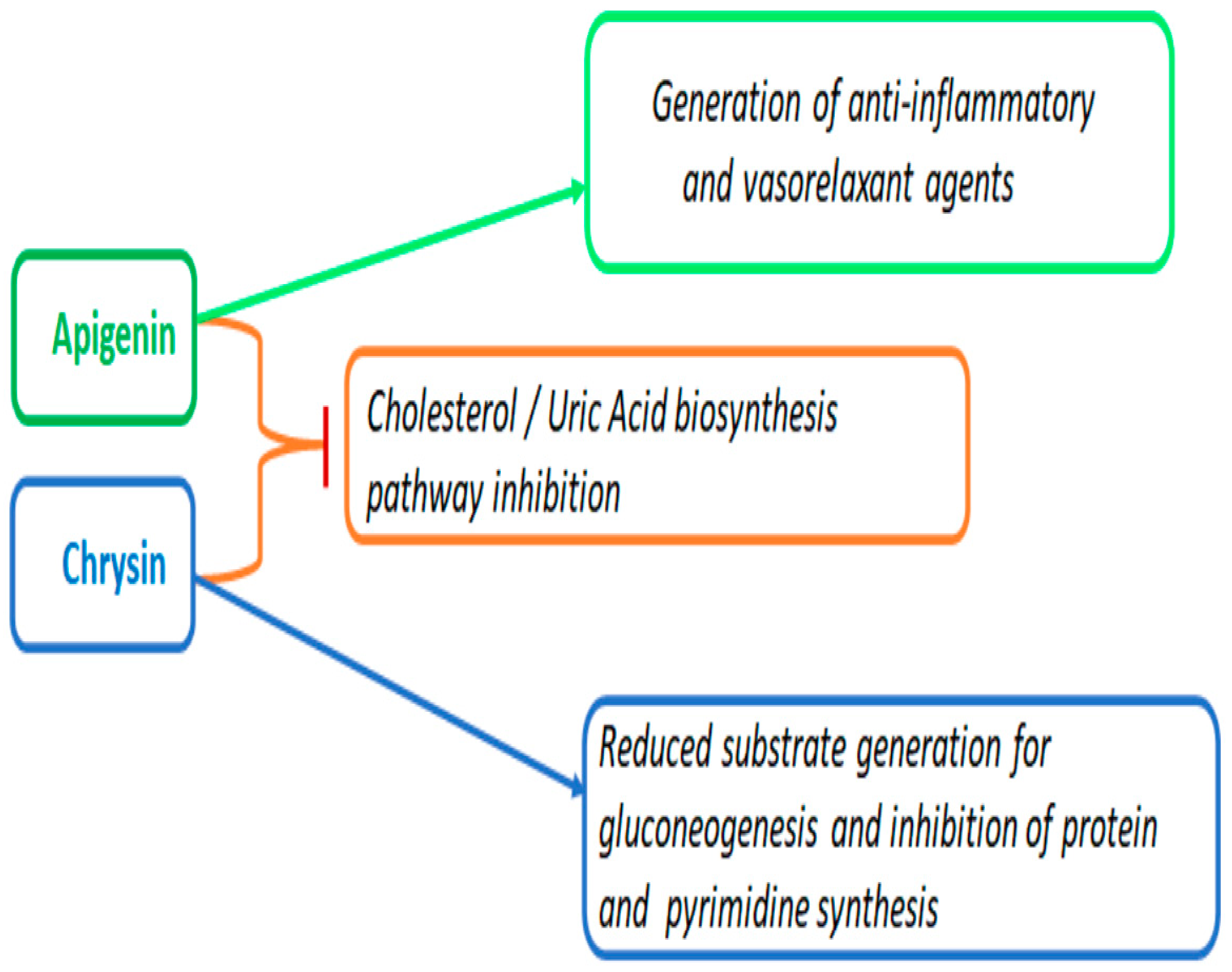 Ijms 24 04066 g011 Ijms 24 04066 g011
