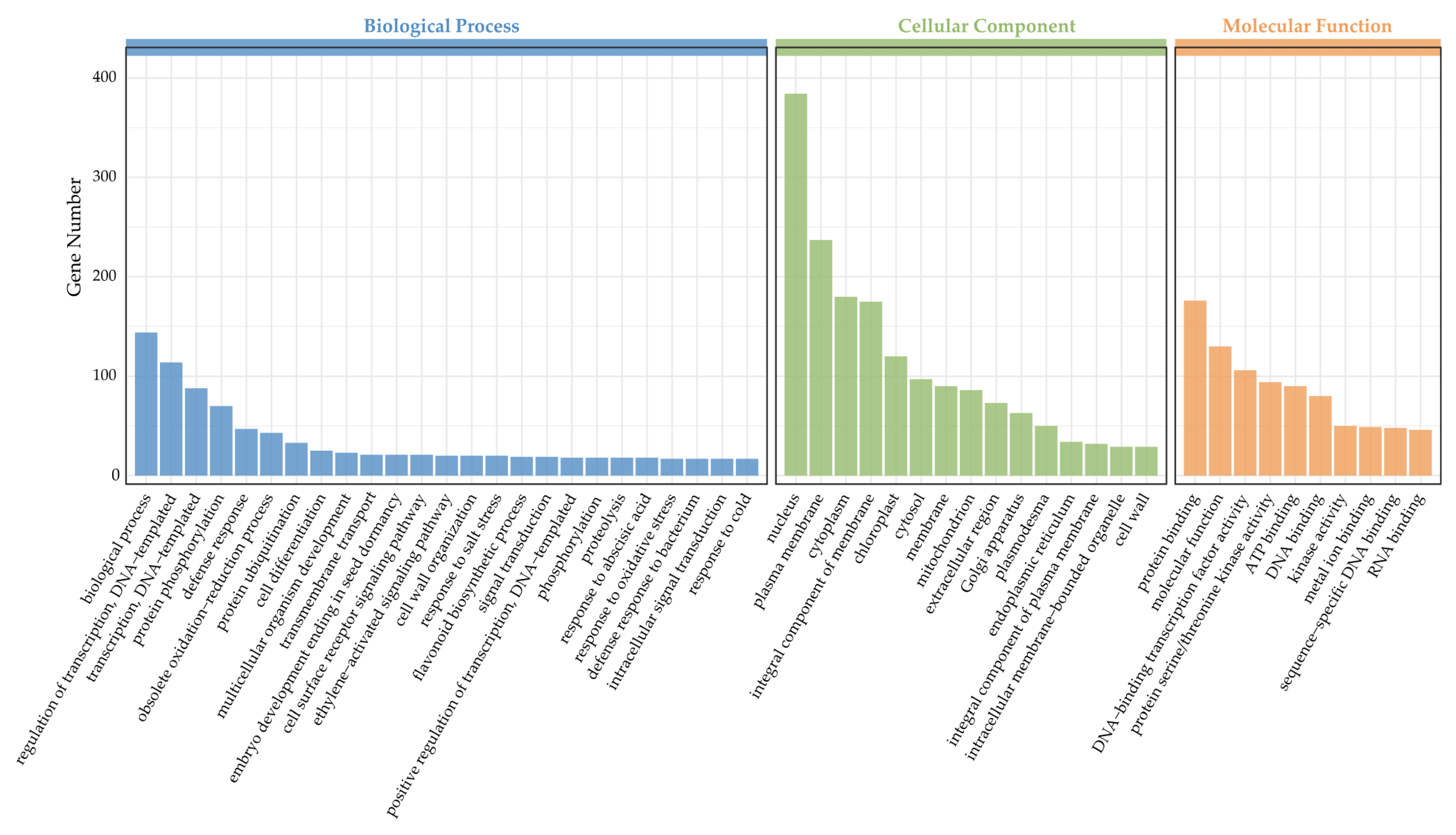 Ijms 24 04069 g004 Ijms 24 04069 g004
