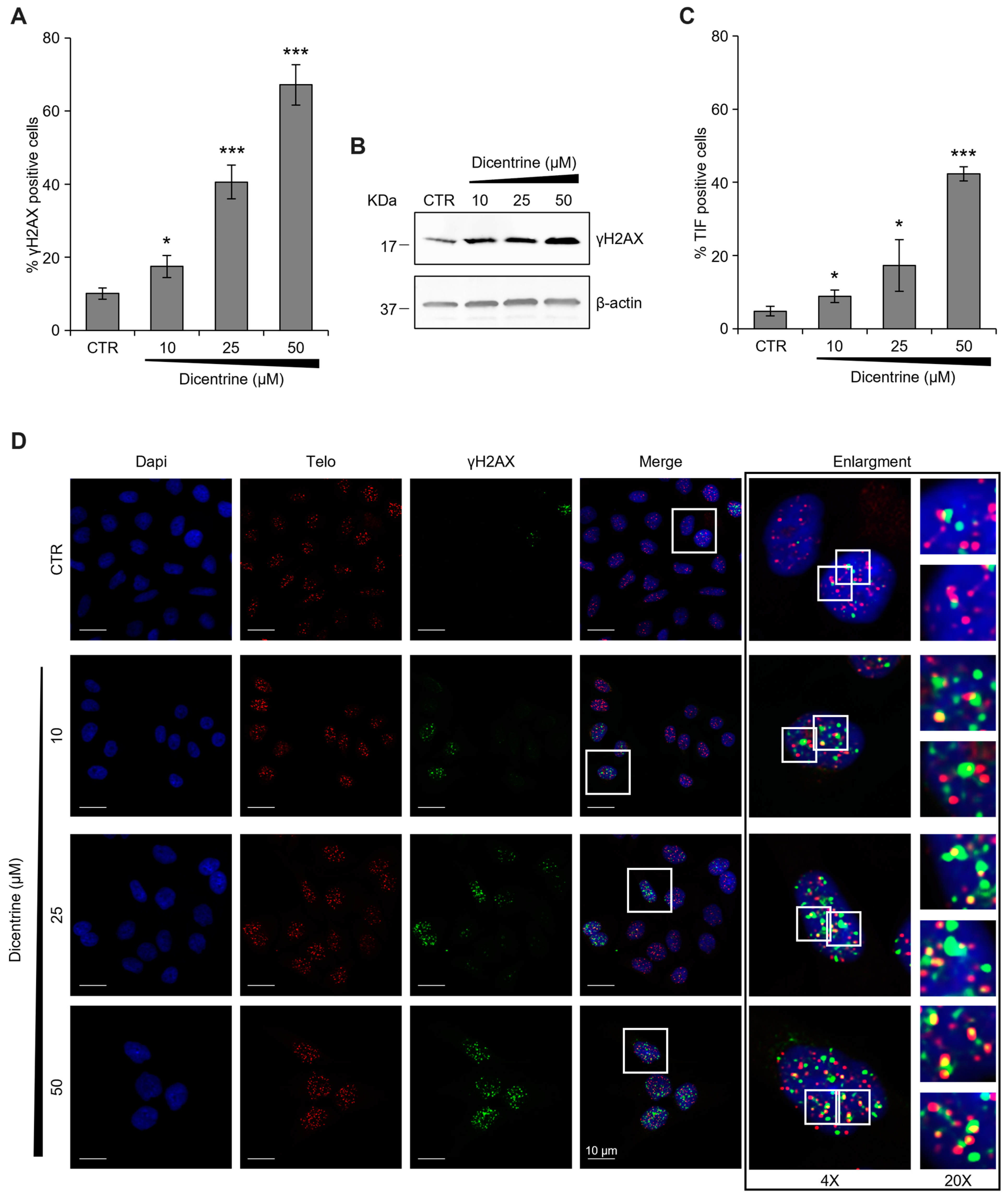 Ijms 24 04070 g012 Ijms 24 04070 g012