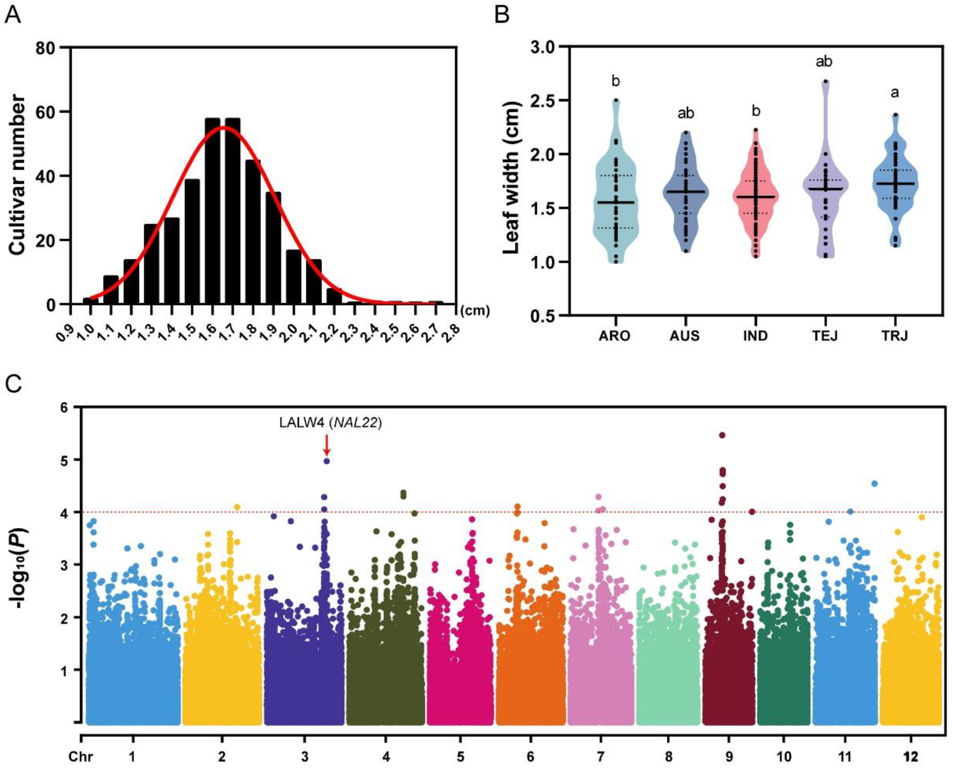 Ijms 24 04073 g001 Ijms 24 04073 g001
