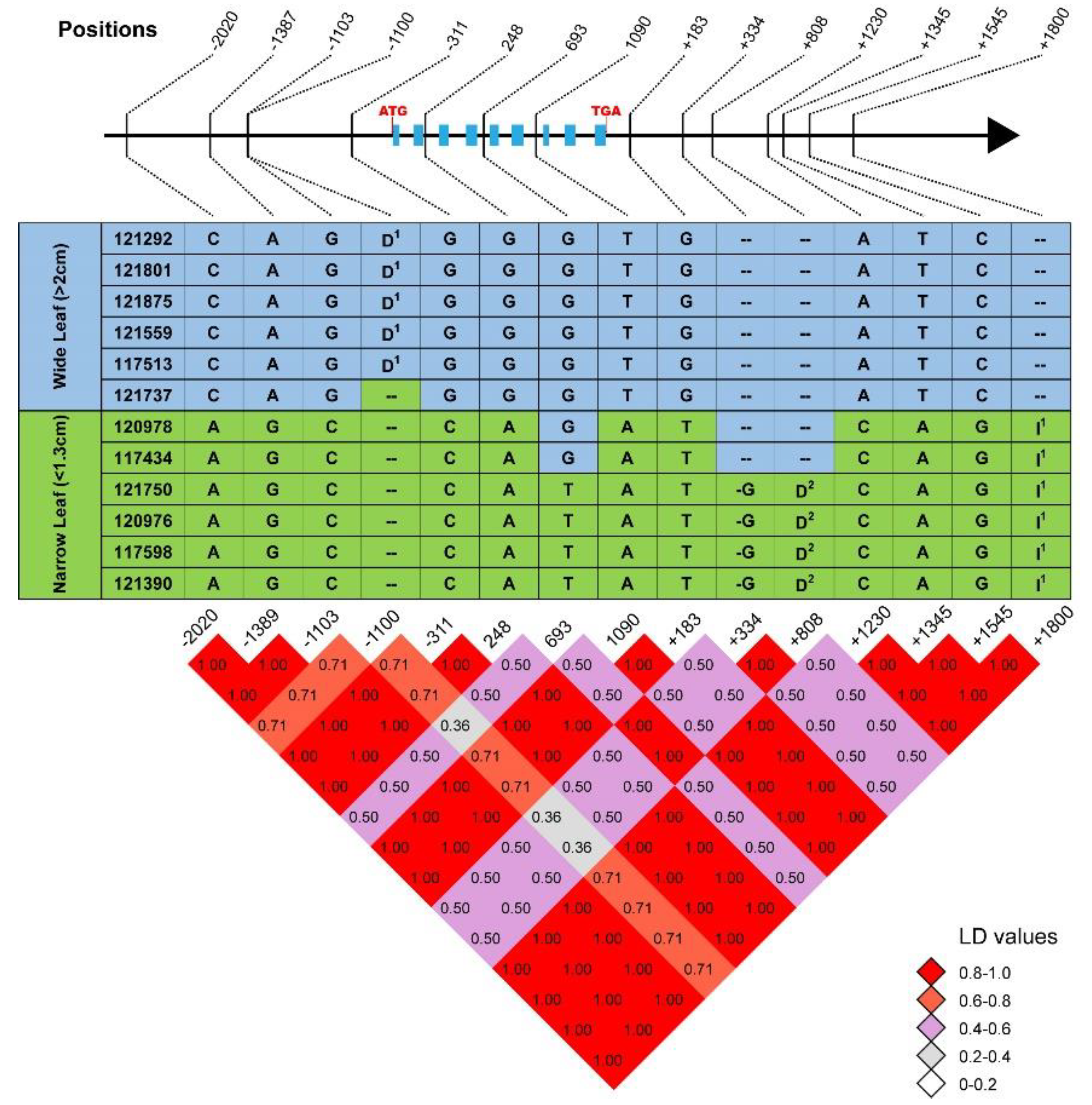 Ijms 24 04073 g002 Ijms 24 04073 g002