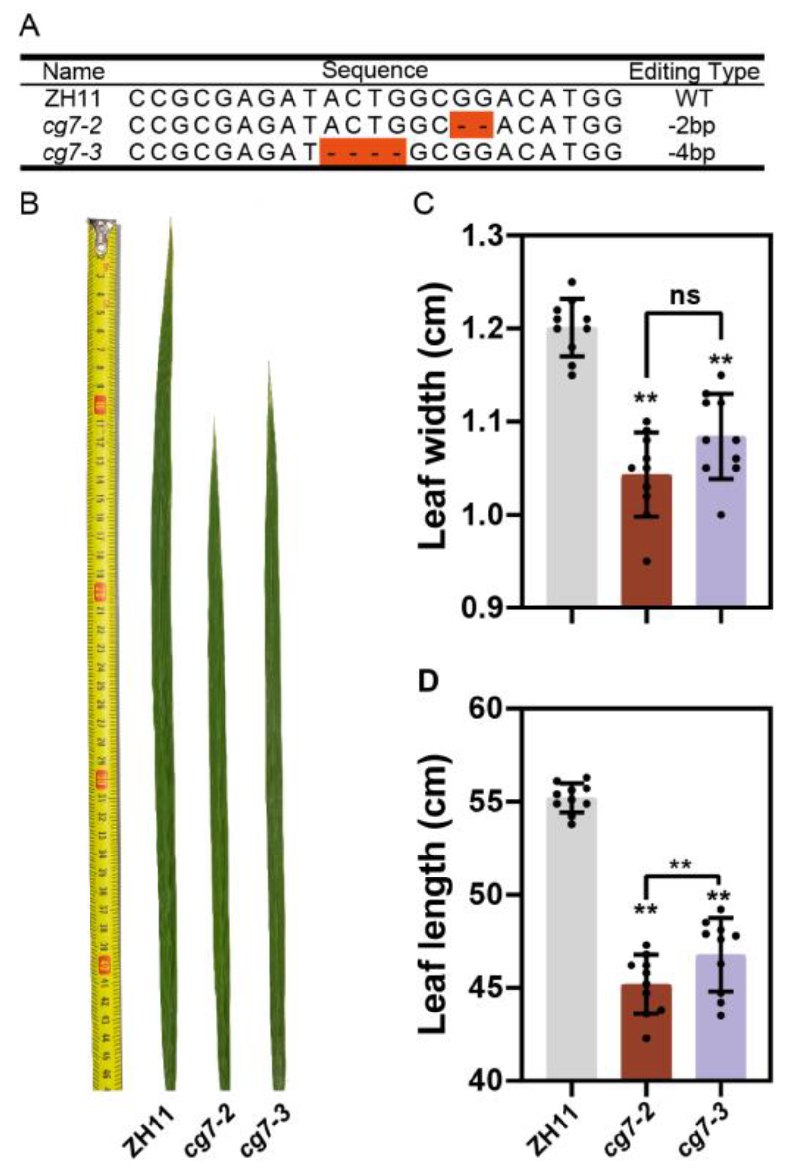 Ijms 24 04073 g004 Ijms 24 04073 g004