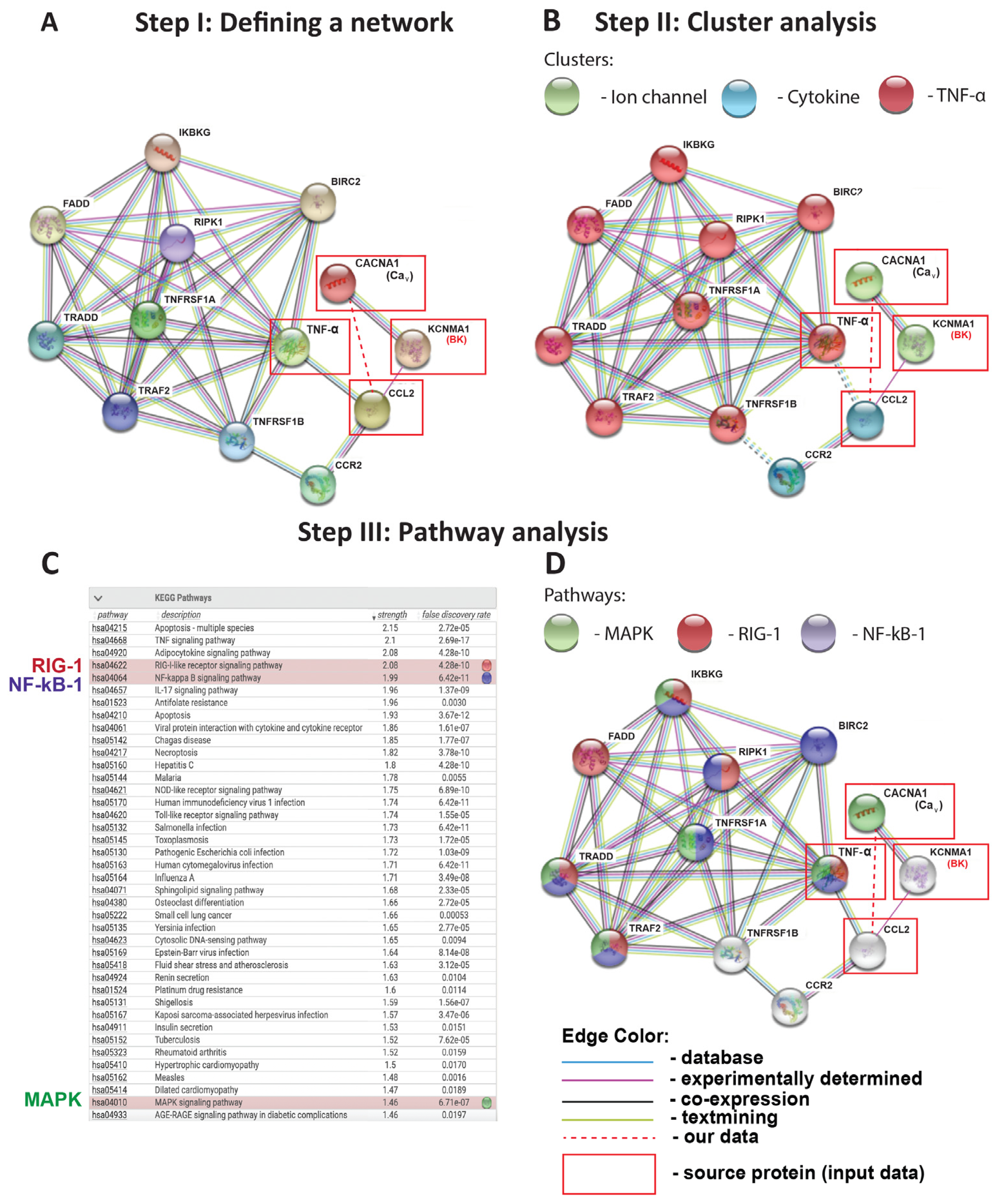 Ijms 24 04087 g002 Ijms 24 04087 g002