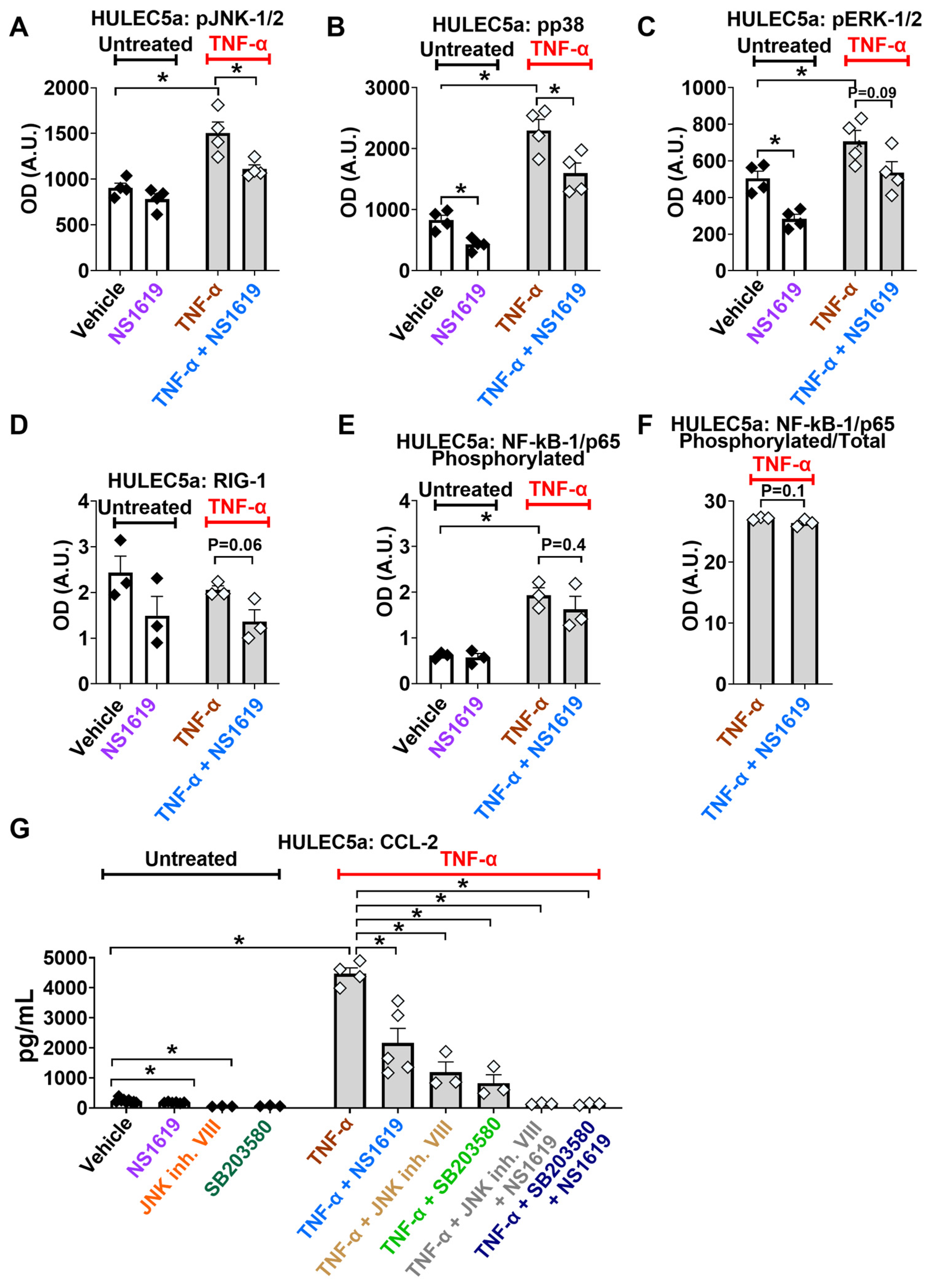 Ijms 24 04087 g003 Ijms 24 04087 g003