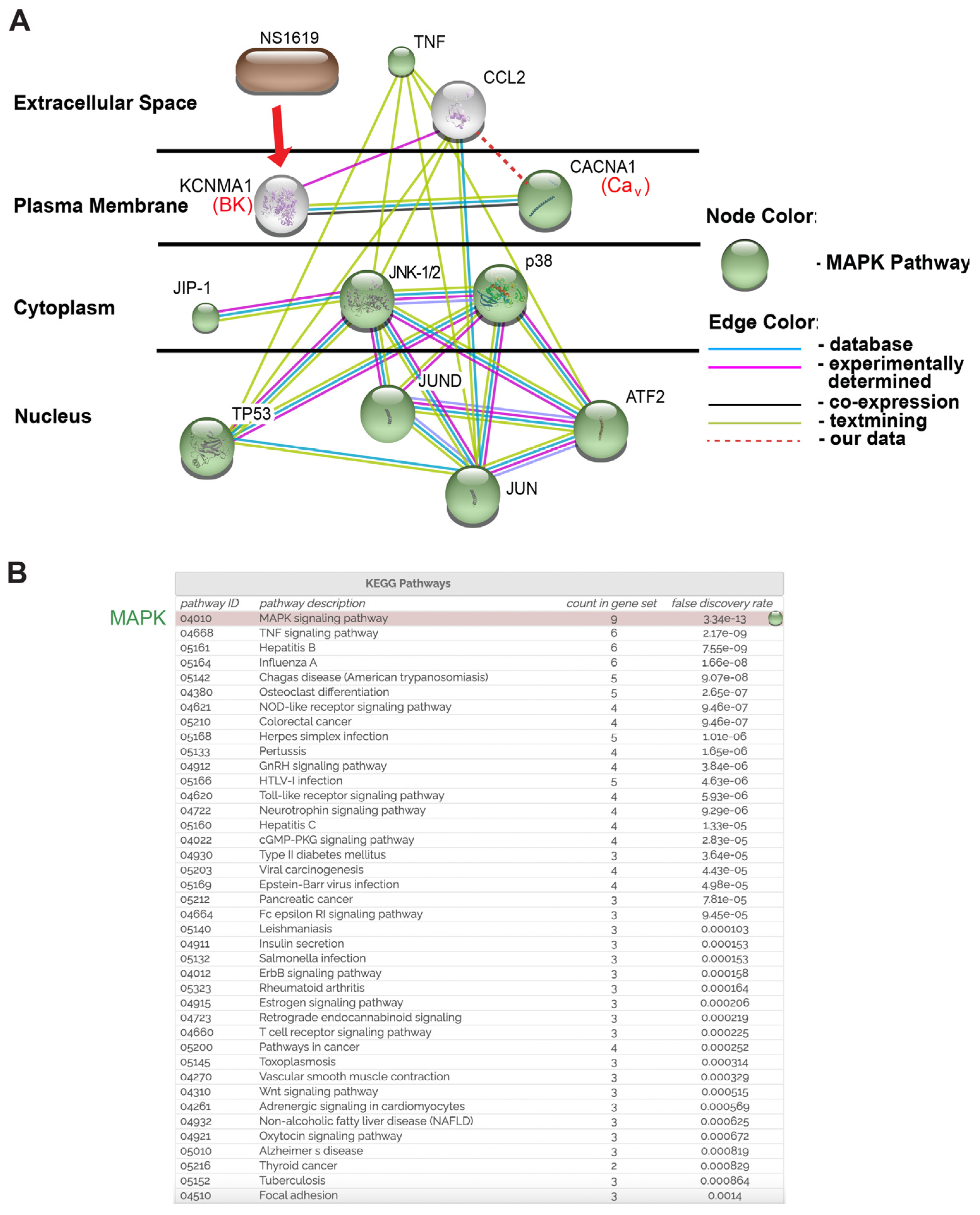 Ijms 24 04087 g004 Ijms 24 04087 g004