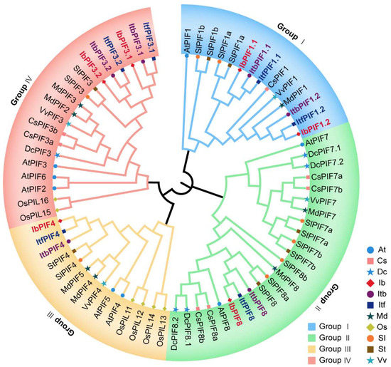 Biological function of Klebsiella variicola and its effect