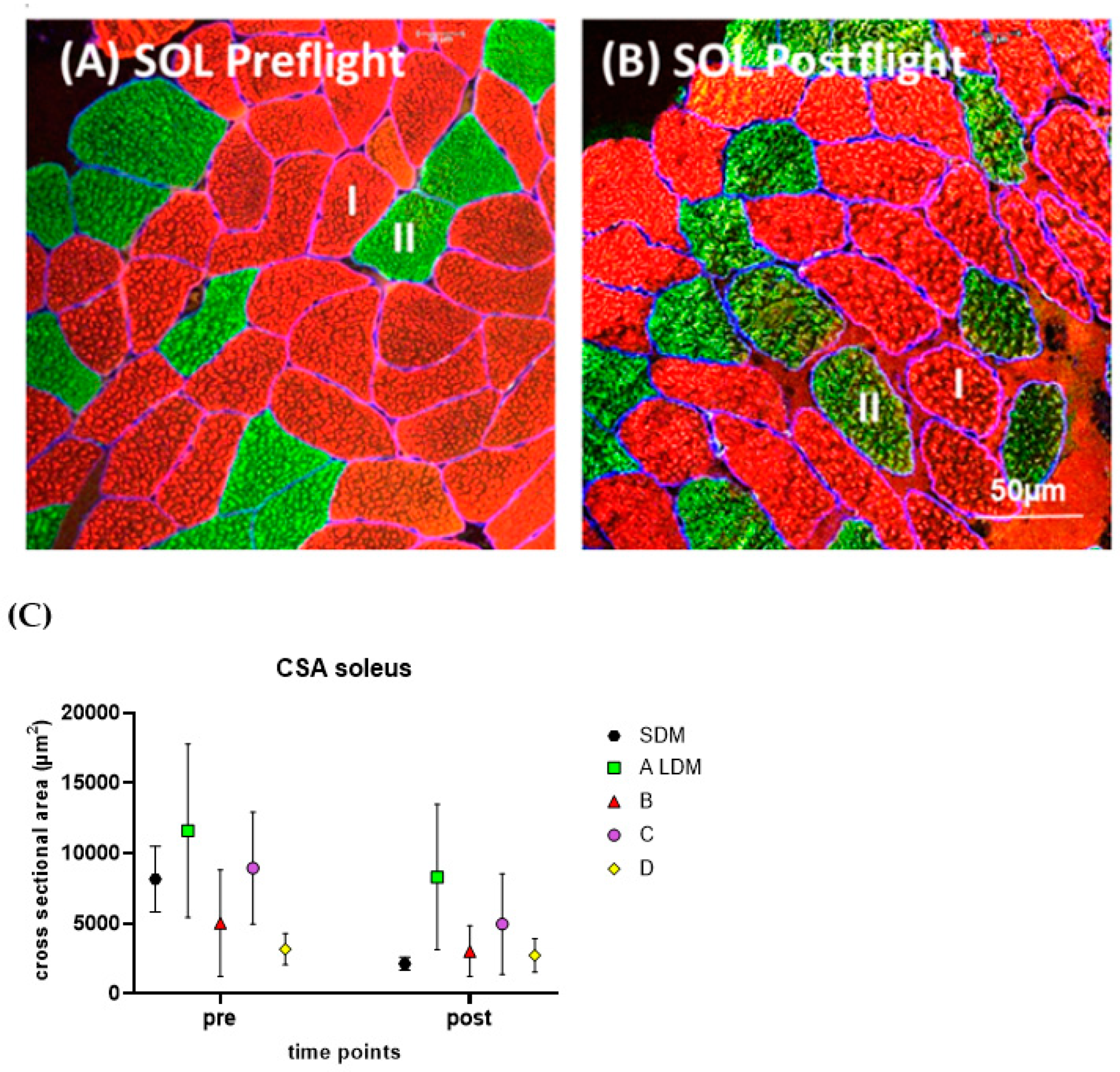 Ijms 24 04095 g001 Ijms 24 04095 g001