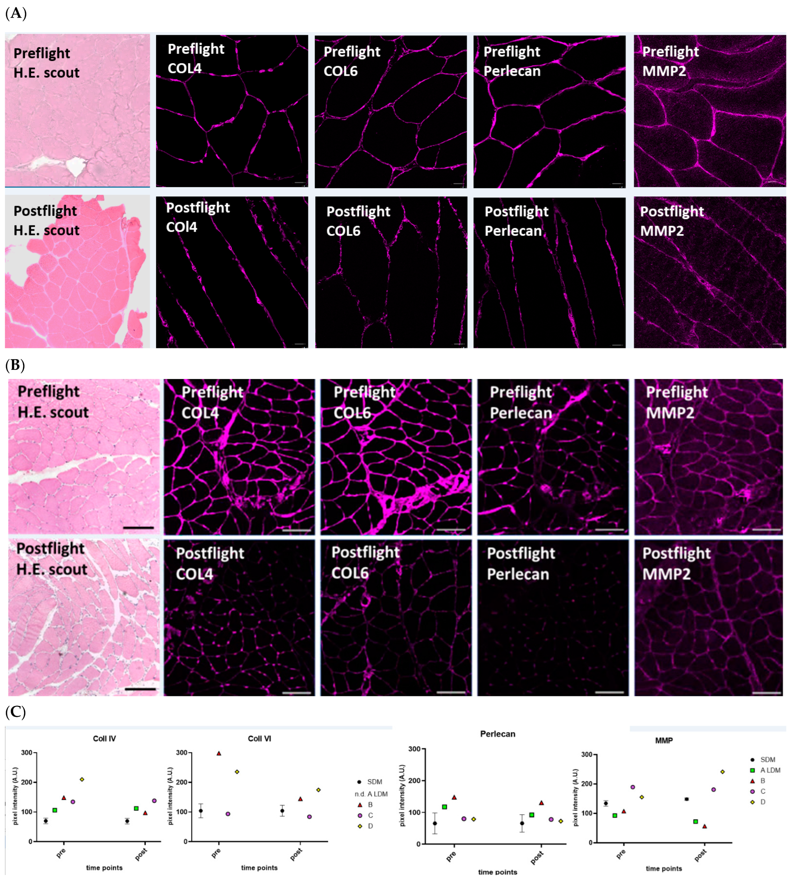 Ijms 24 04095 g002 Ijms 24 04095 g002