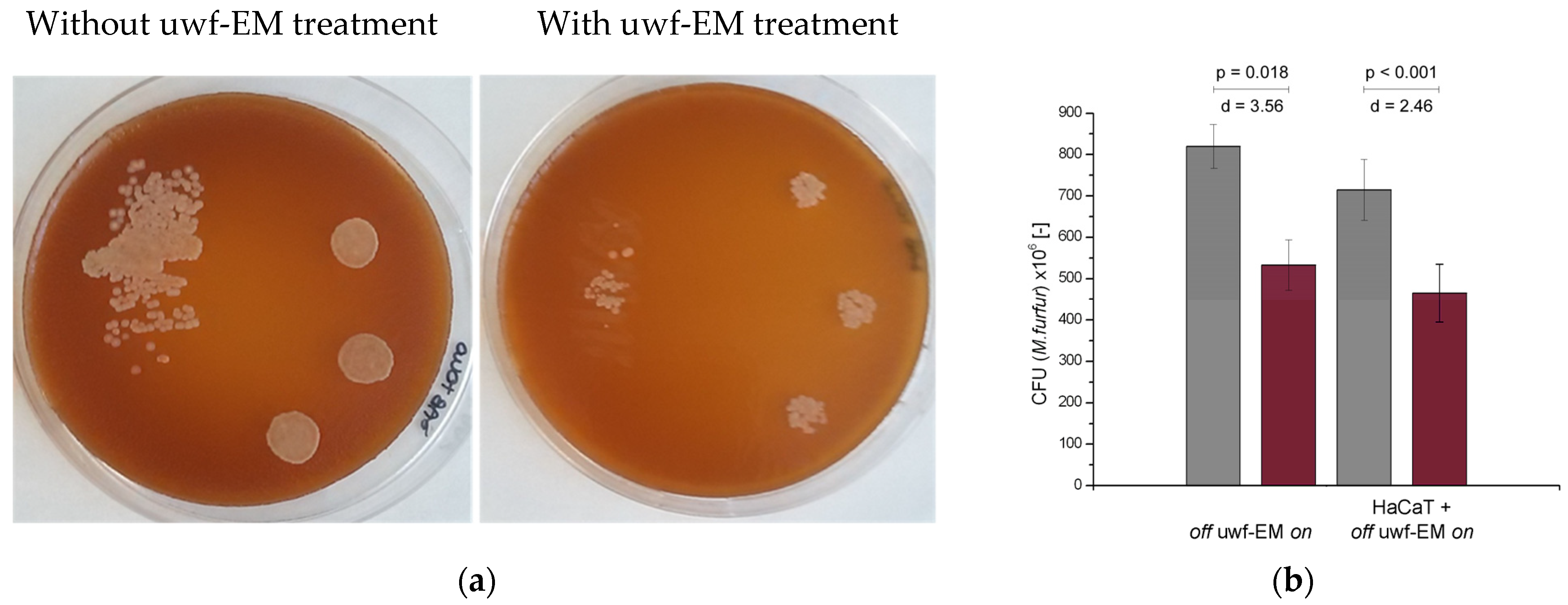 Ijms 24 04099 g001 Ijms 24 04099 g001