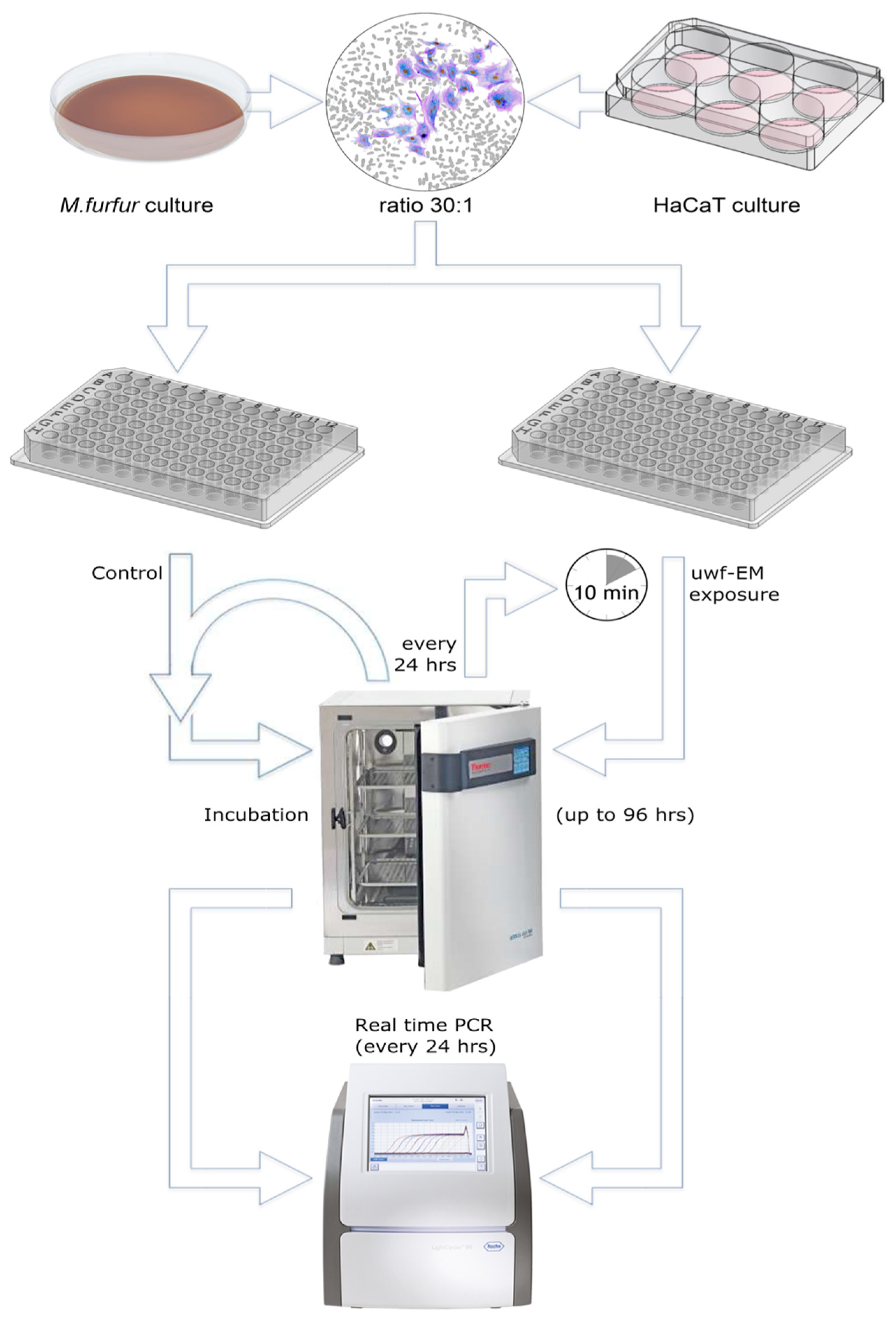 Ijms 24 04099 g005 Ijms 24 04099 g005