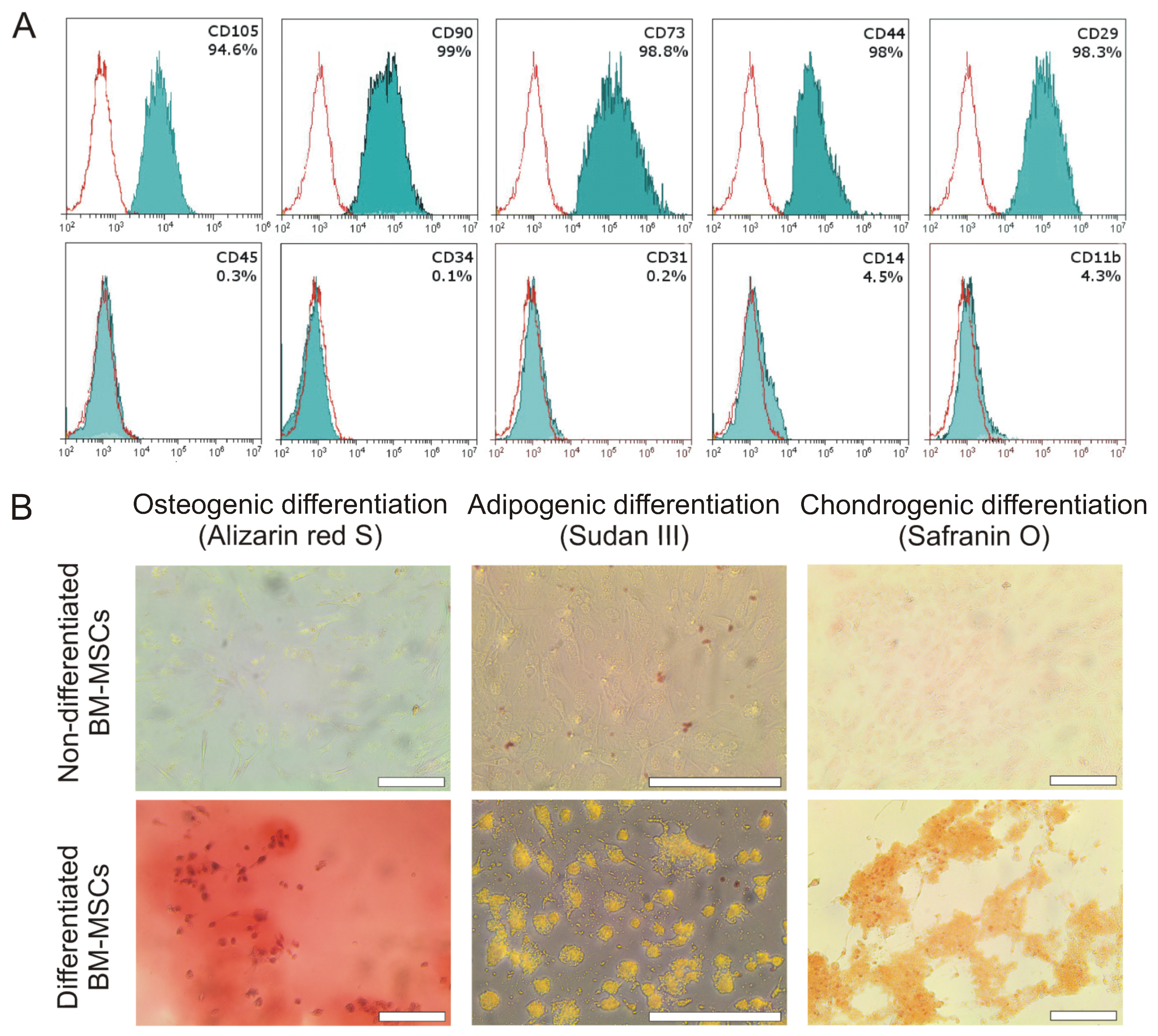 Ijms 24 04102 g001 Ijms 24 04102 g001