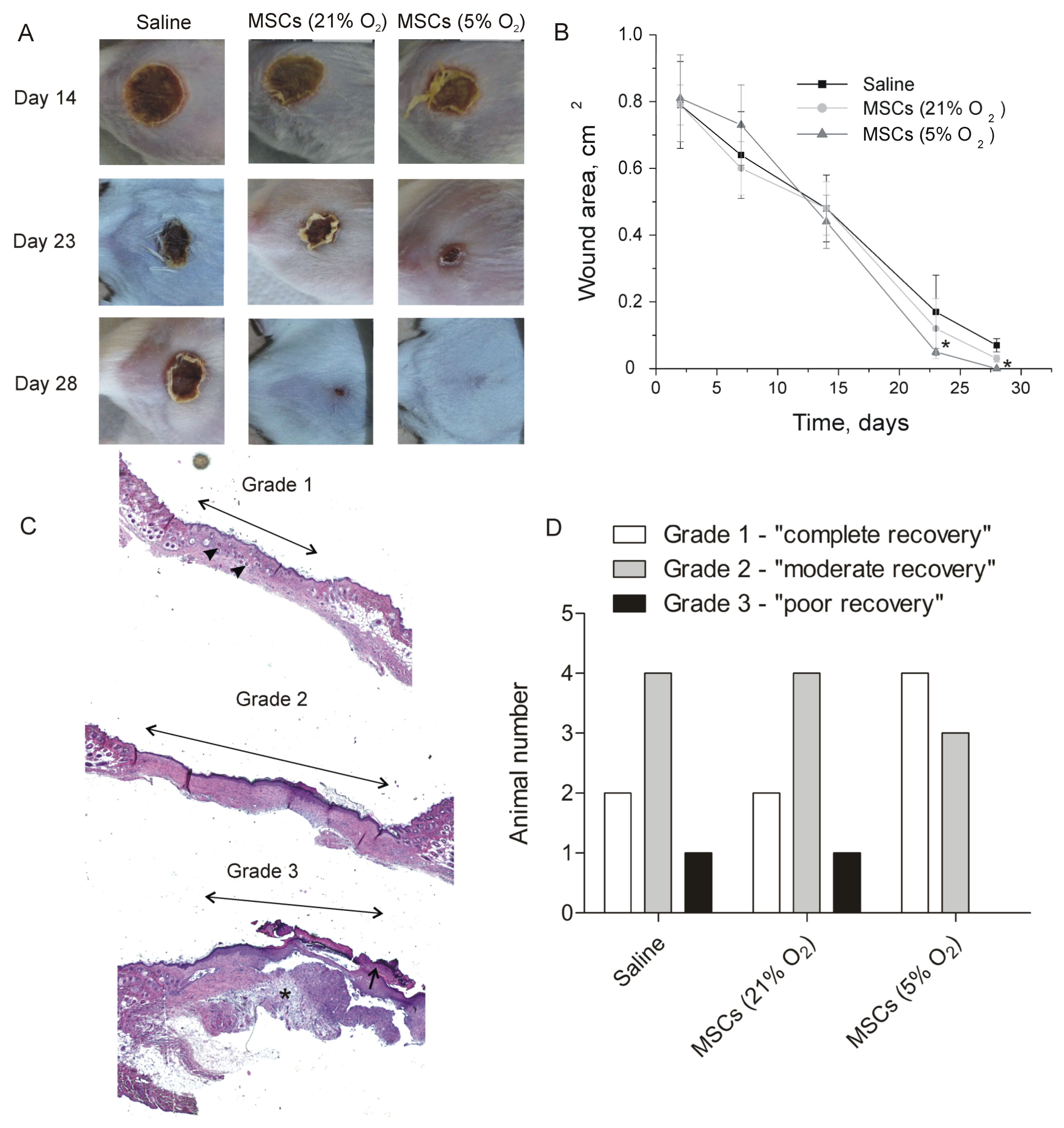 Ijms 24 04102 g005 Ijms 24 04102 g005