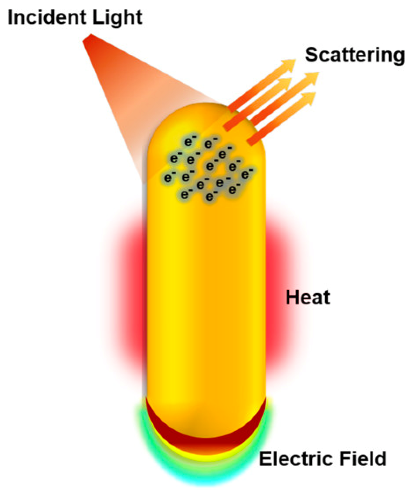 Ijms 24 04109 g002 Ijms 24 04109 g002