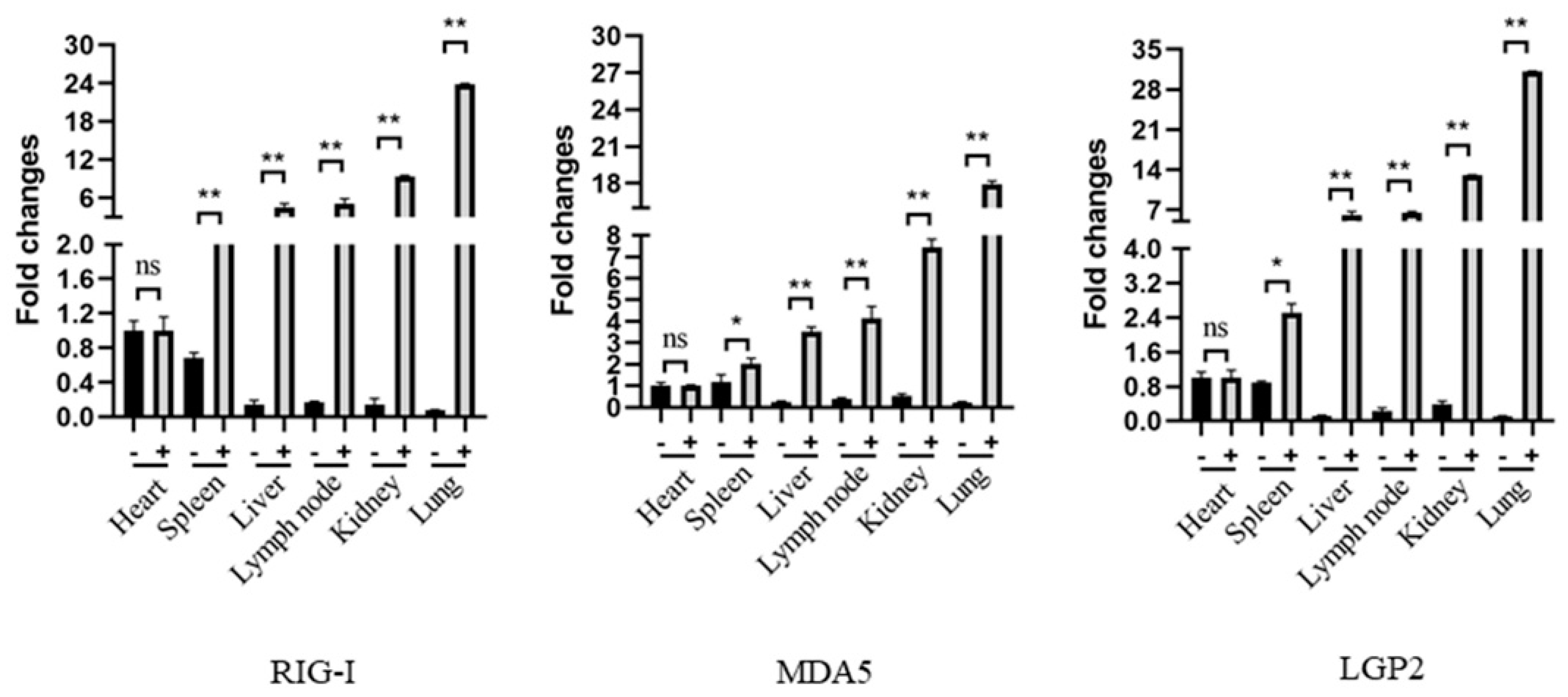 Ijms 24 04118 g006 Ijms 24 04118 g006