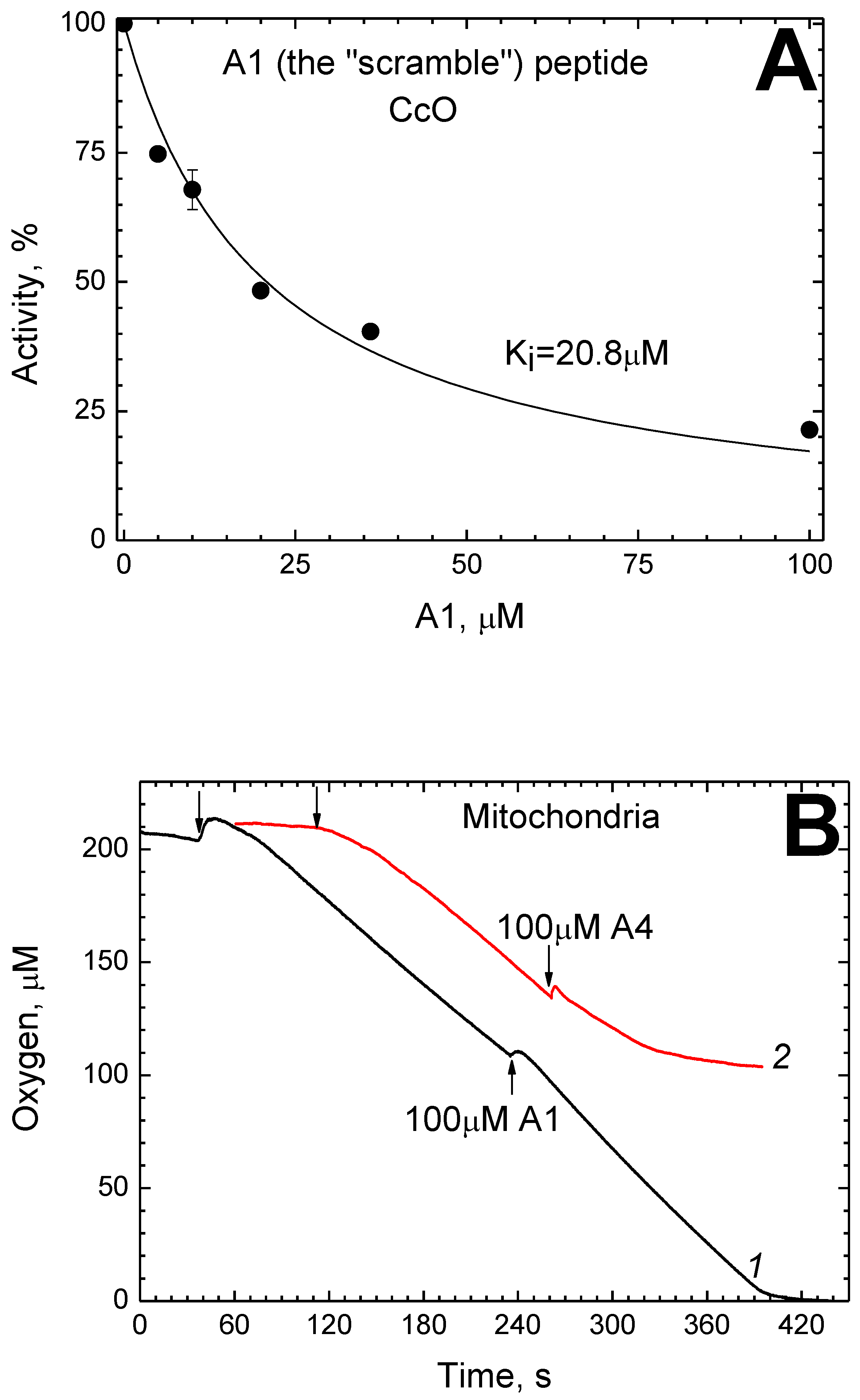 Ijms 24 04119 g005 Ijms 24 04119 g005