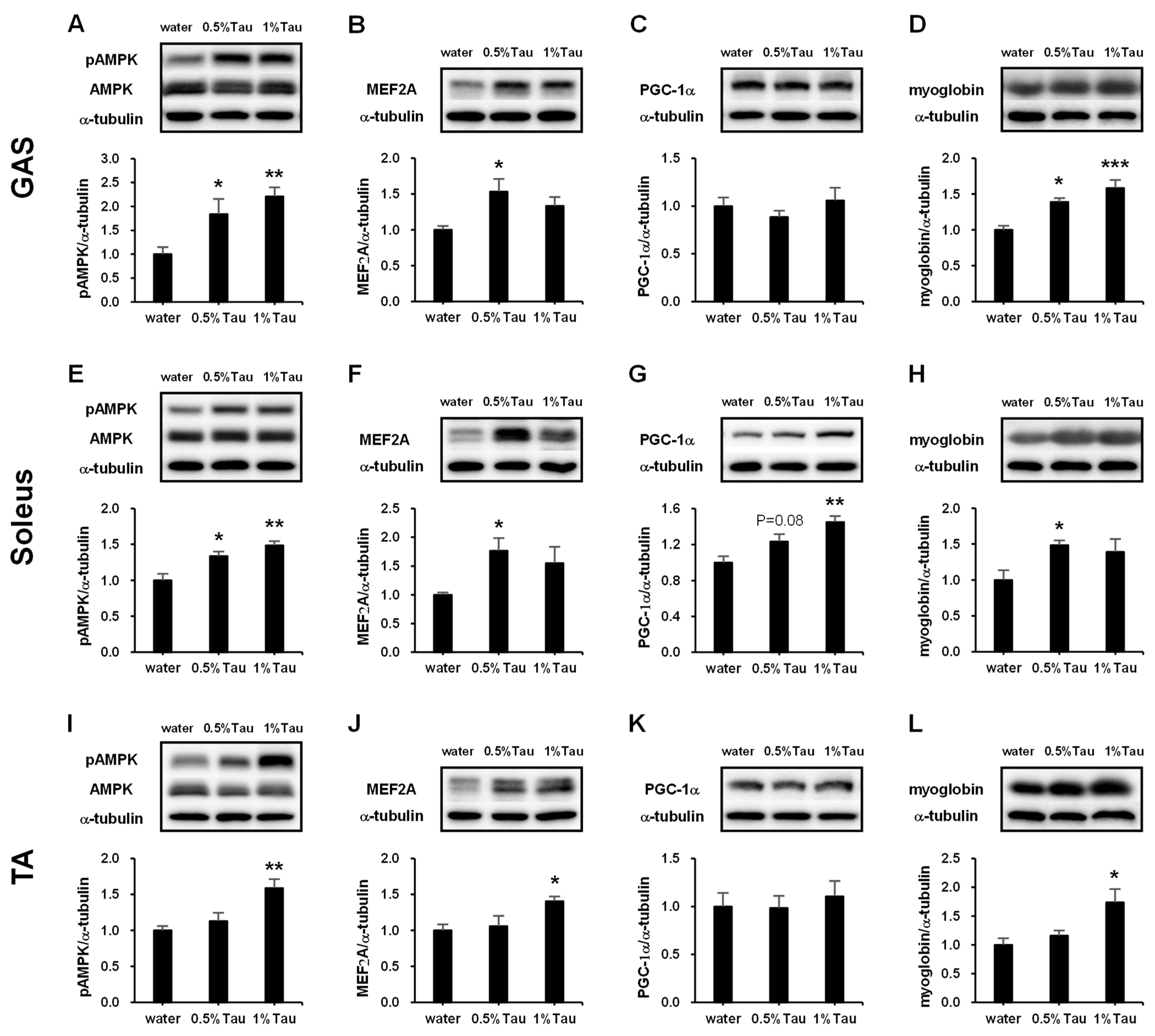 Ijms 24 04125 g003 Ijms 24 04125 g003