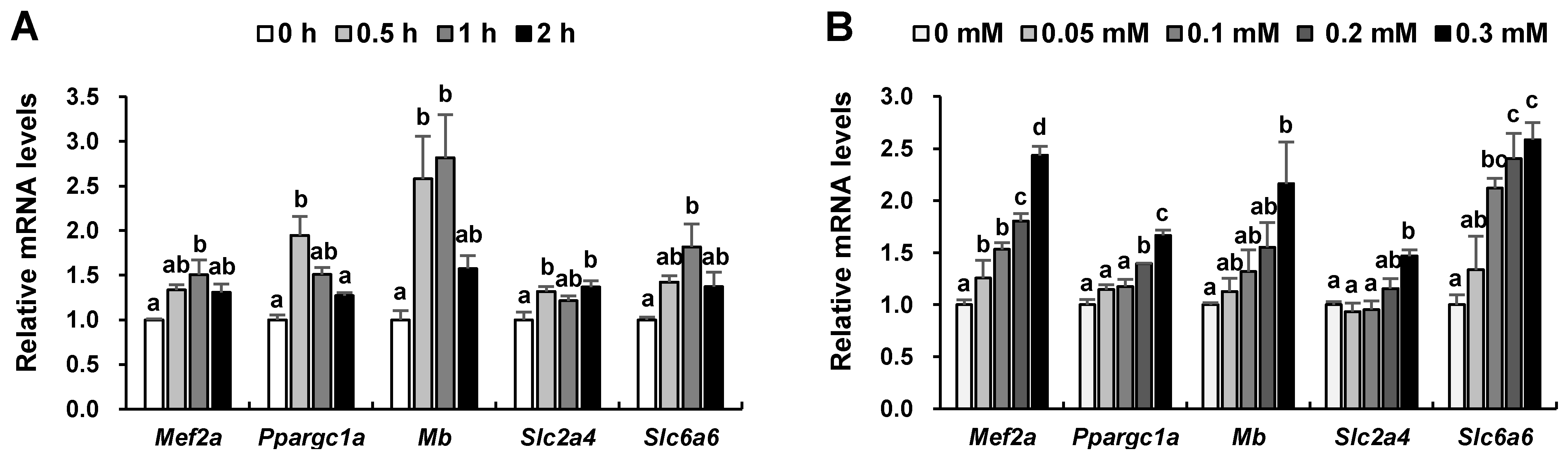 Ijms 24 04125 g005 Ijms 24 04125 g005