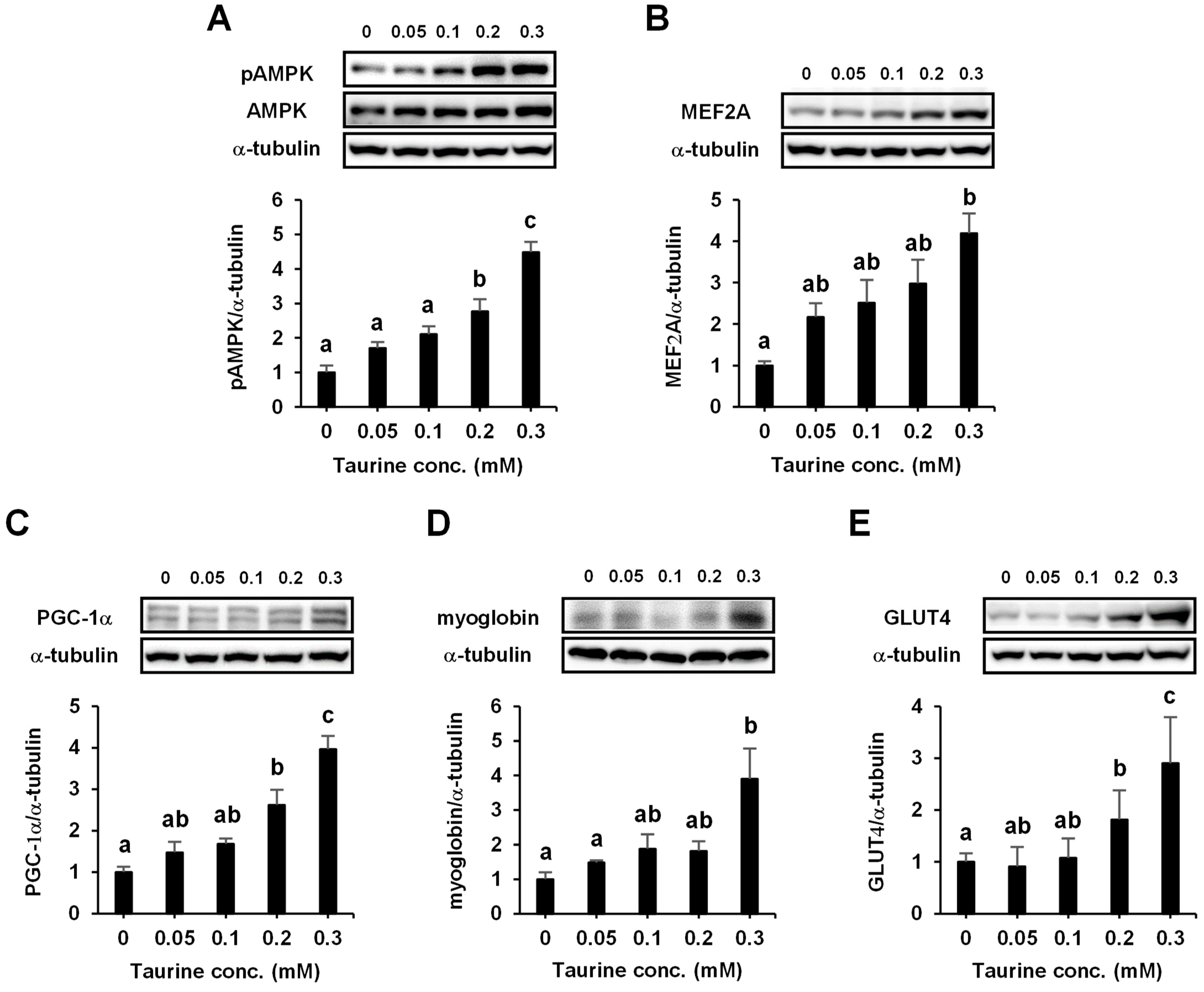 Ijms 24 04125 g006 Ijms 24 04125 g006