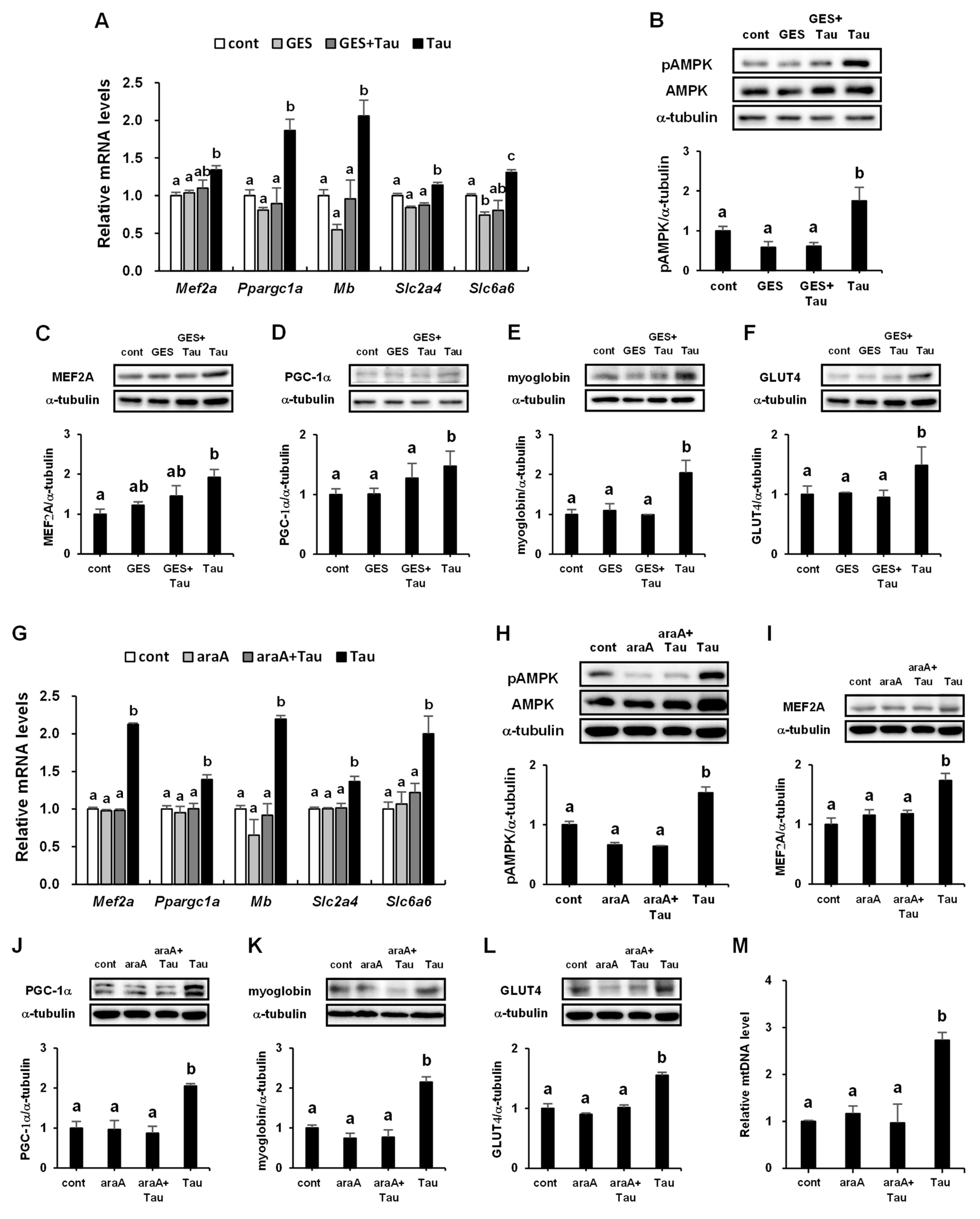 Ijms 24 04125 g007 Ijms 24 04125 g007