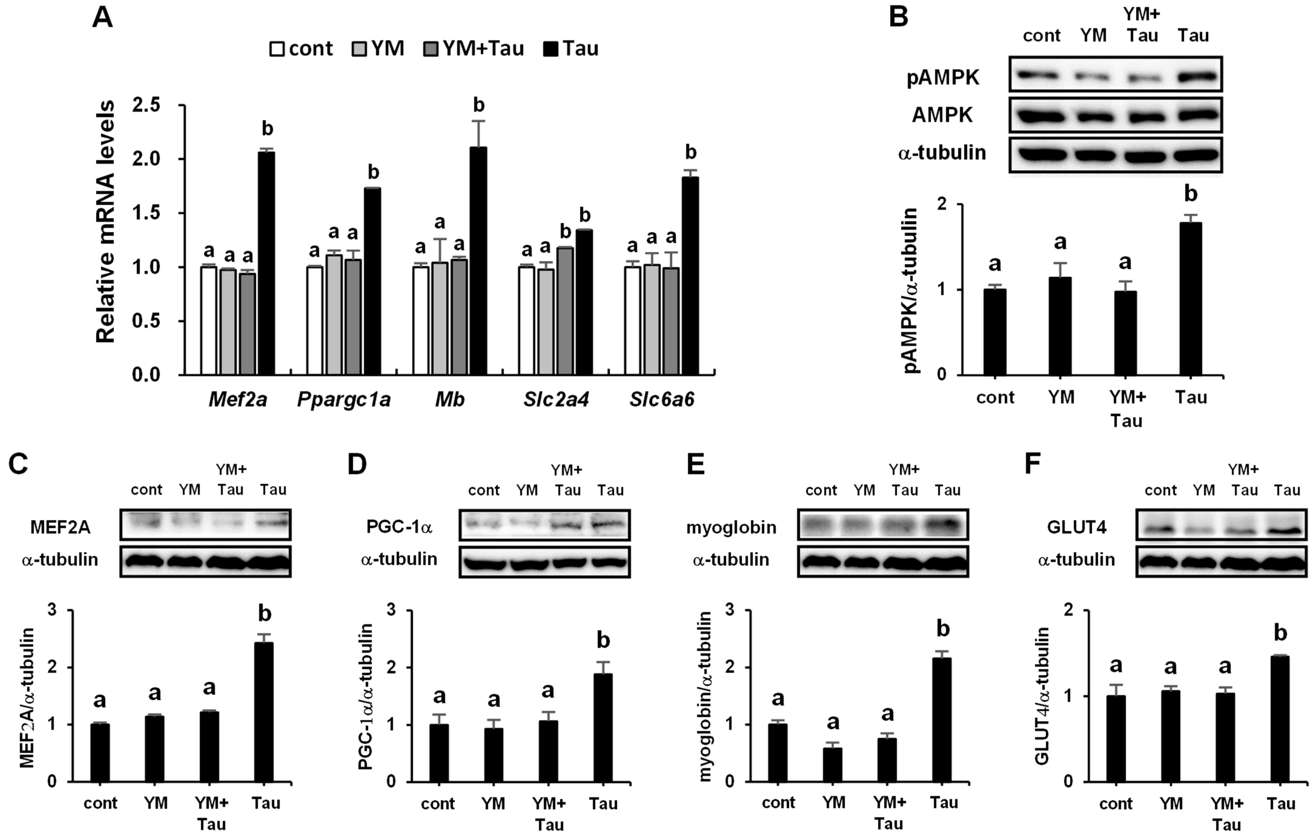 Ijms 24 04125 g009 Ijms 24 04125 g009
