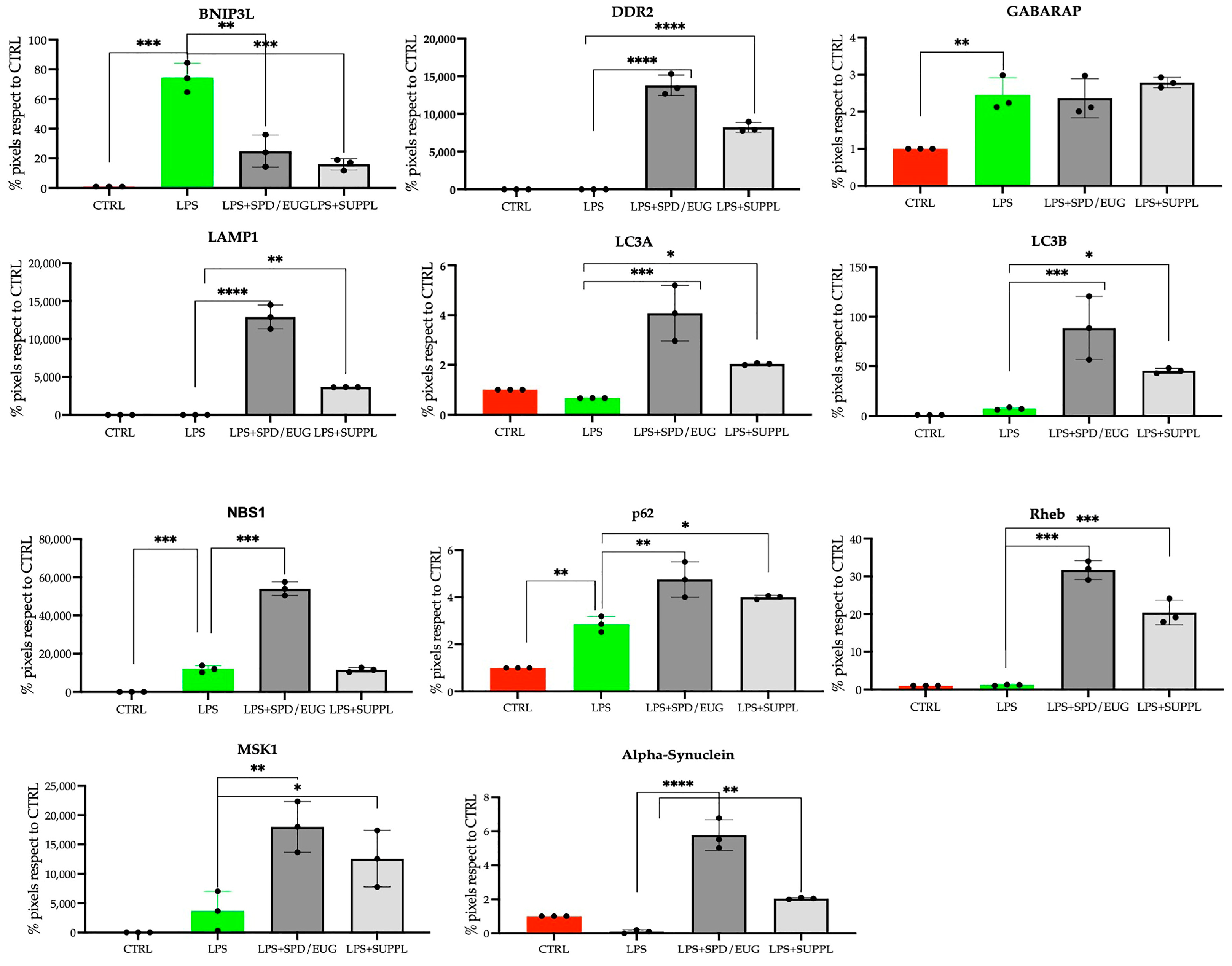 Ijms 24 04131 g005b Ijms 24 04131 g005b