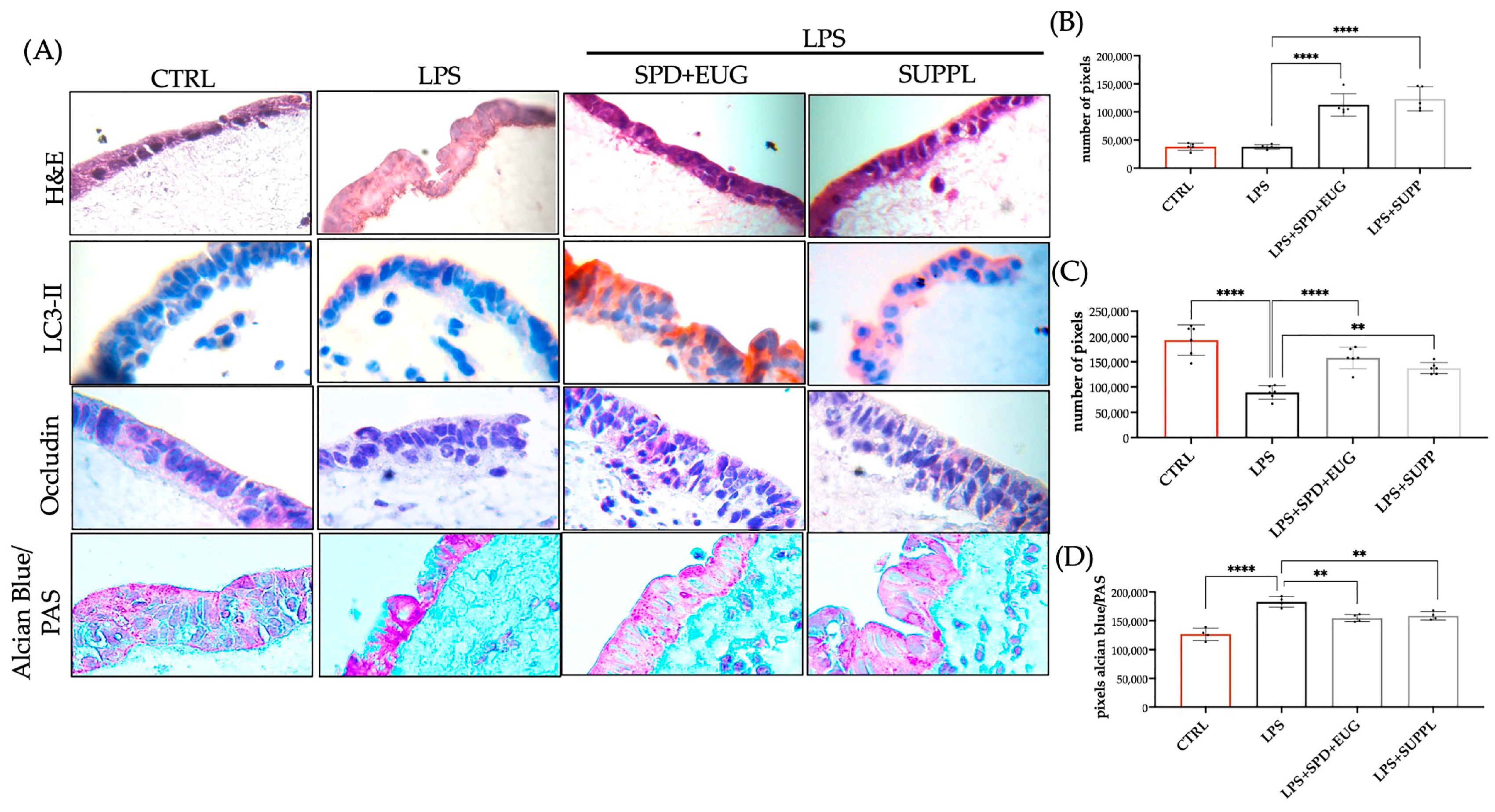 Ijms 24 04131 g007 Ijms 24 04131 g007