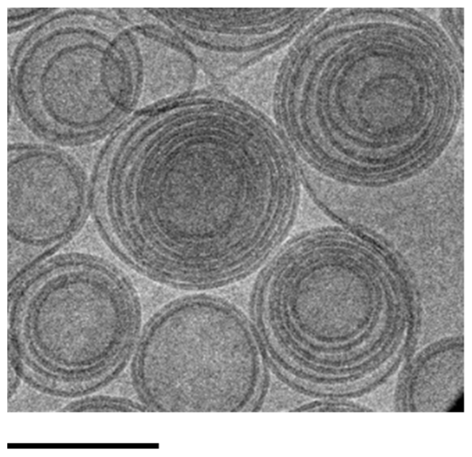 Ijms 24 04133 g002 Ijms 24 04133 g002