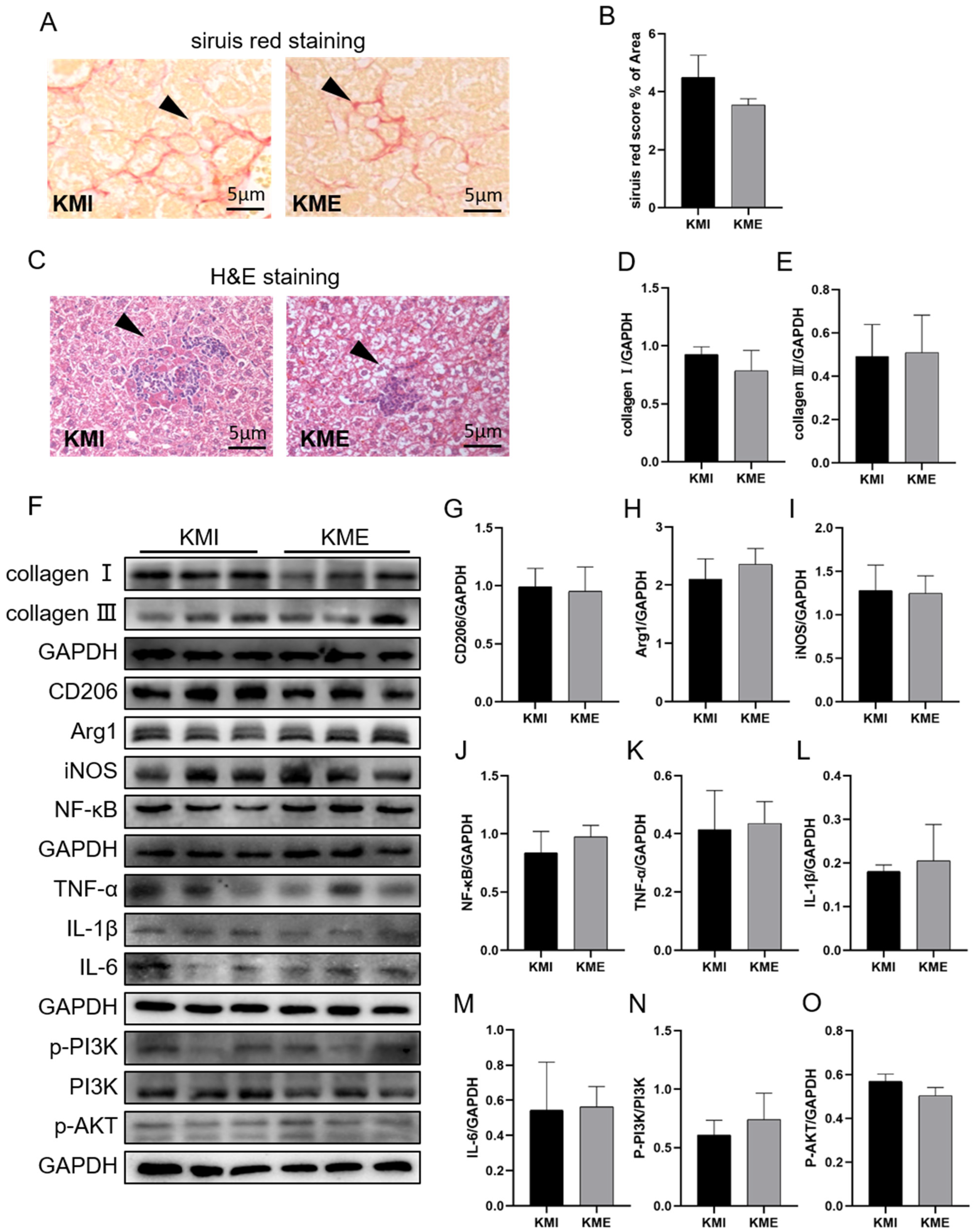 Ijms 24 04159 g004 Ijms 24 04159 g004
