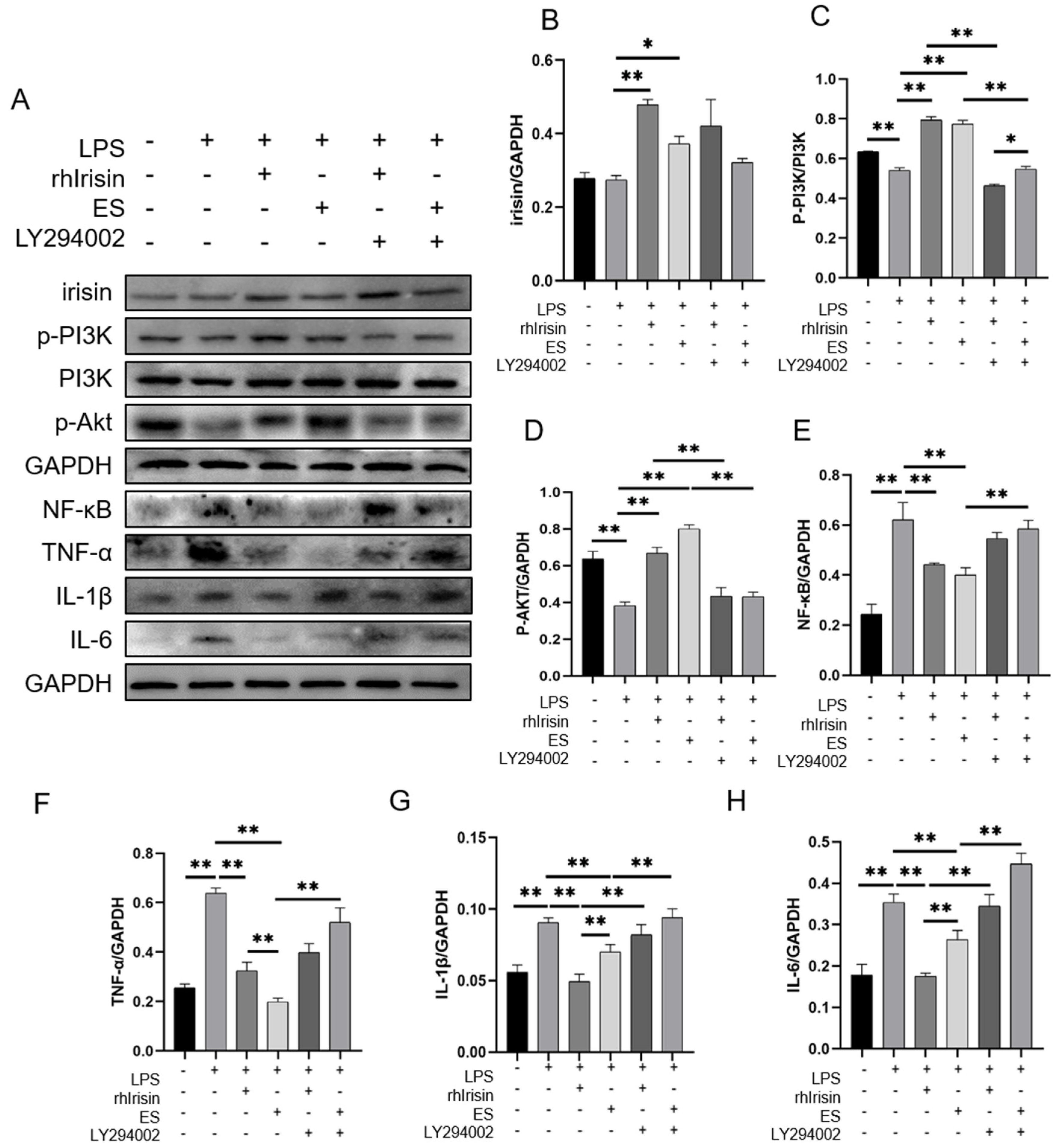 Ijms 24 04159 g005 Ijms 24 04159 g005