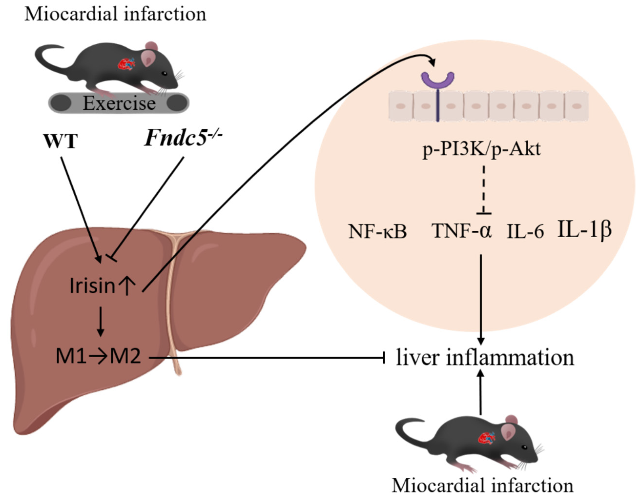 Ijms 24 04159 g006 Ijms 24 04159 g006