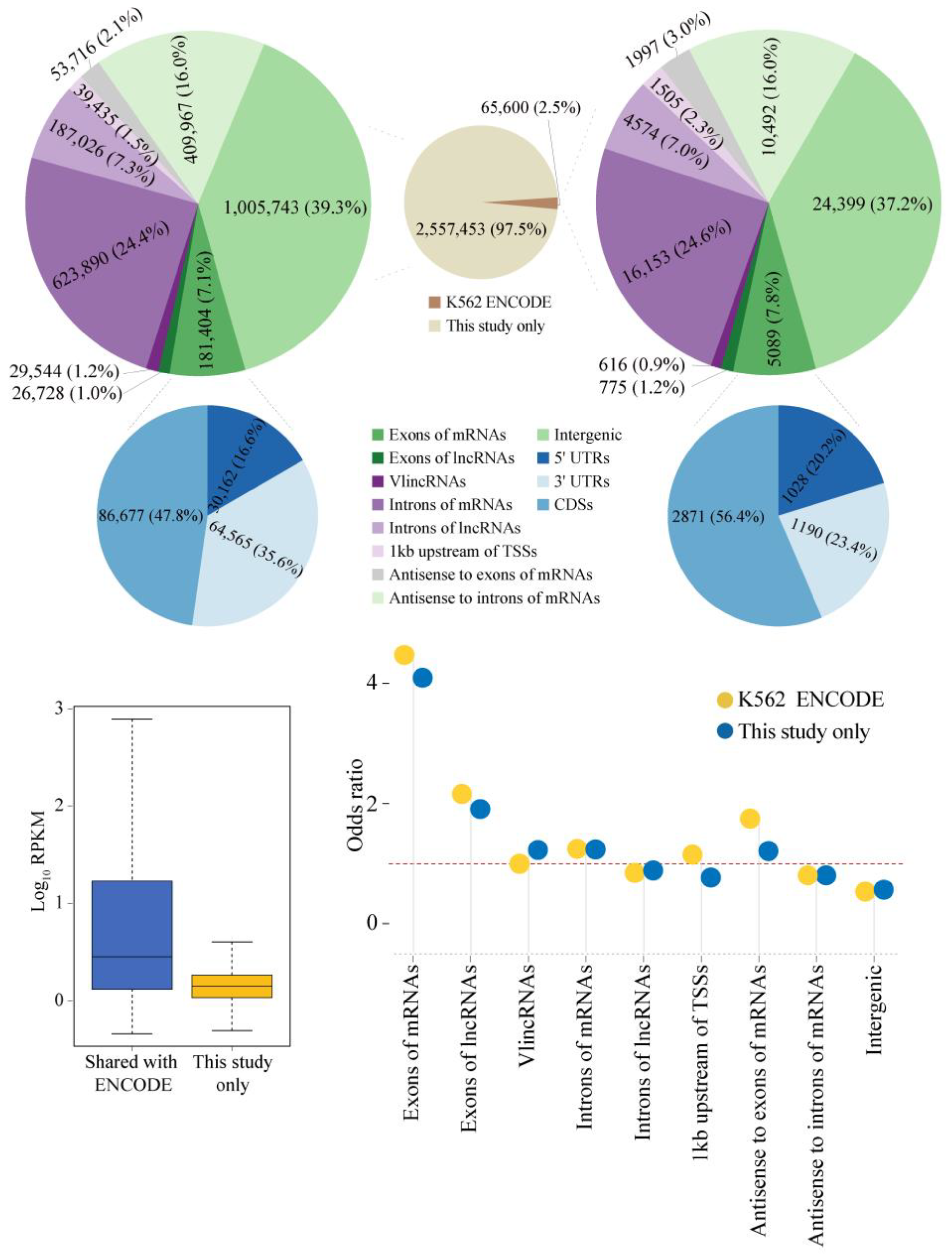 Ijms 24 04163 g002 Ijms 24 04163 g002
